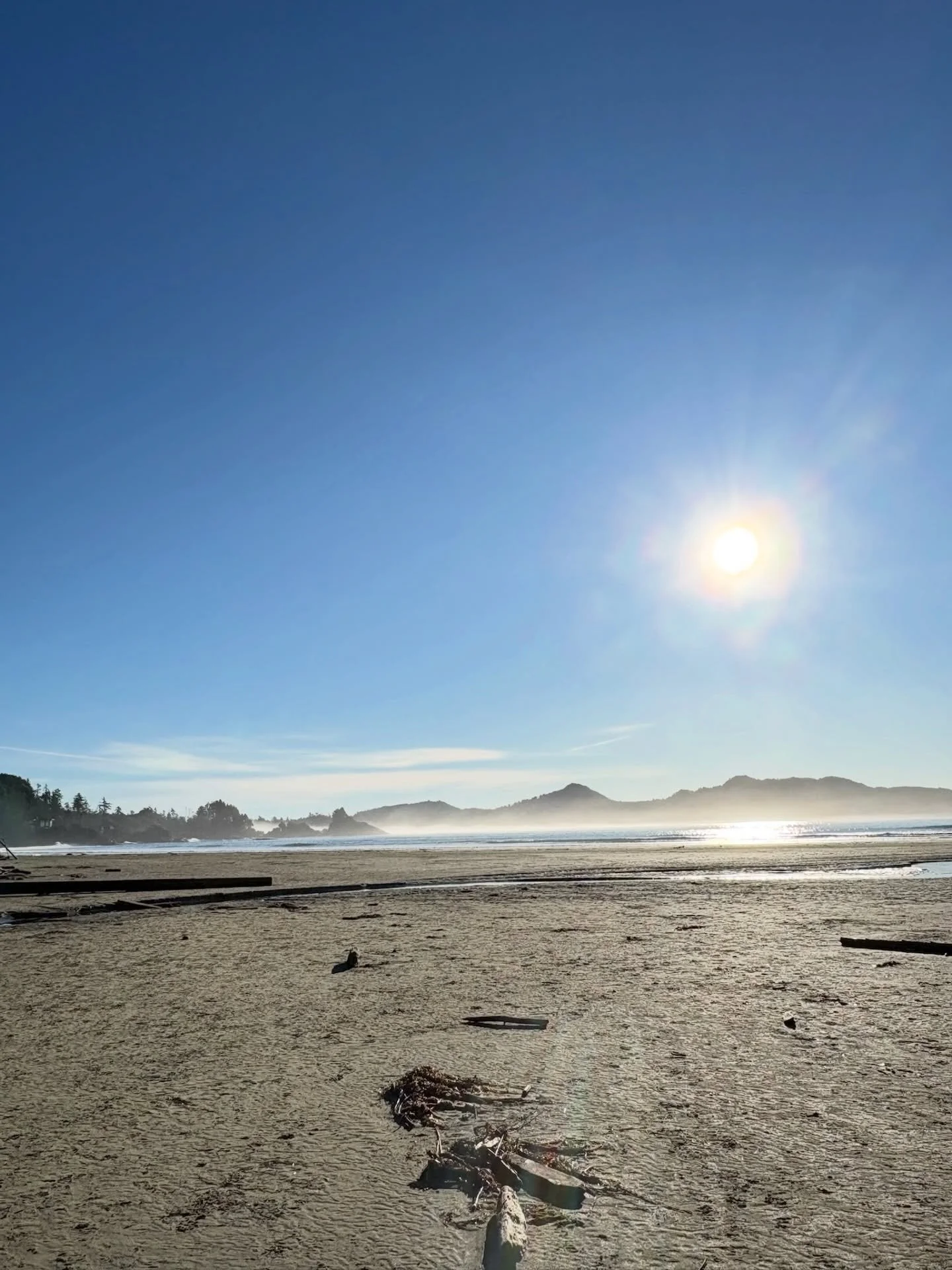 Hello, sunshine. 🌞 Wishing our Tofino community a bright, gentle week ahead filled with fresh air, small joys, and moments of ease. 

Open daily, 10am - 6pm. Drop by and say hi!
