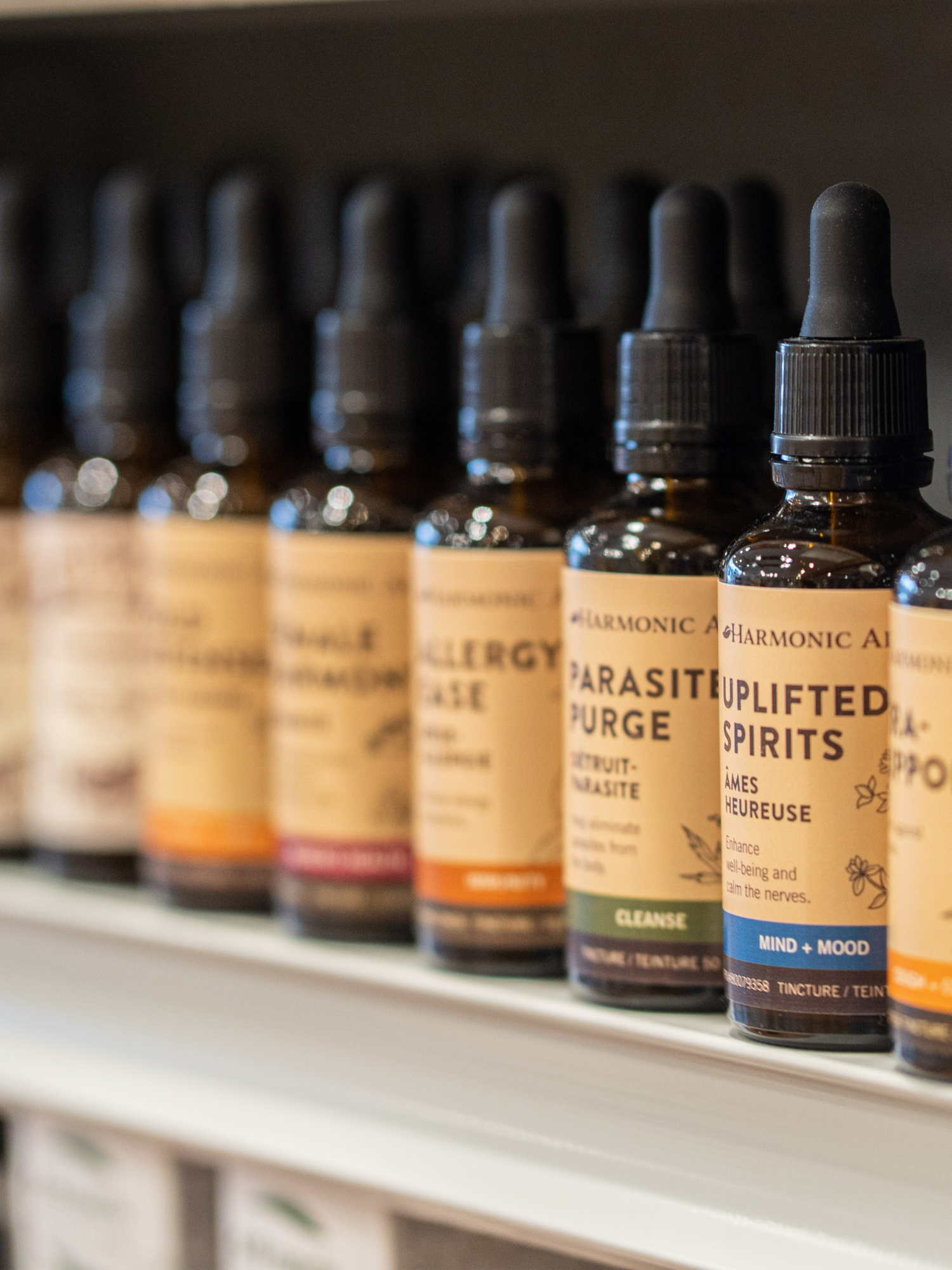 Harmonic Arts Website.png