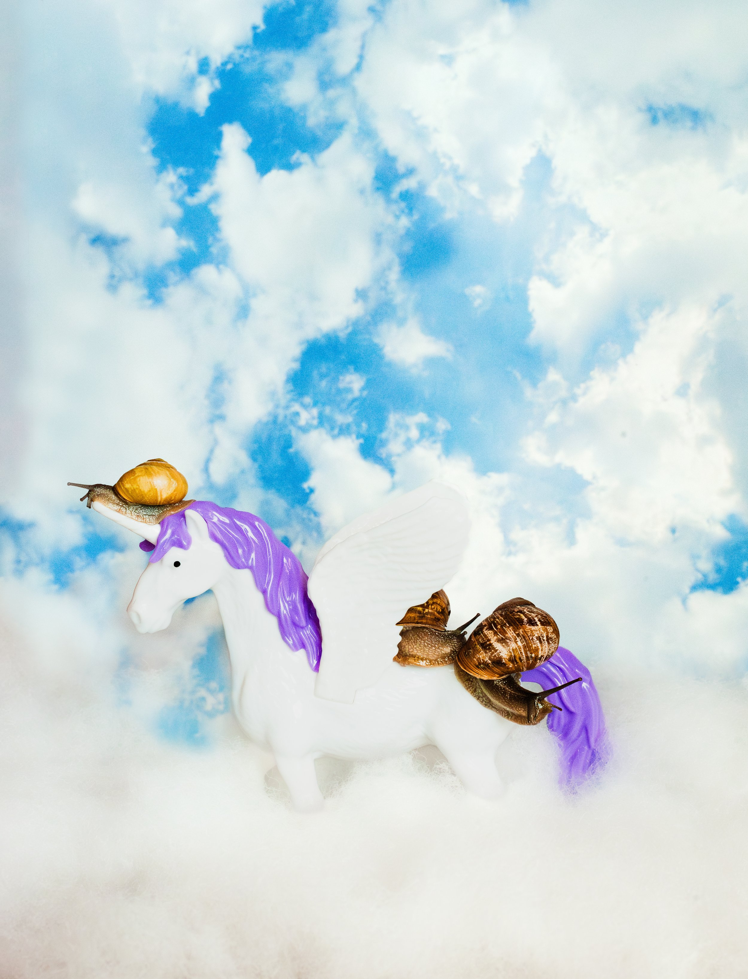 Snail Unicorn