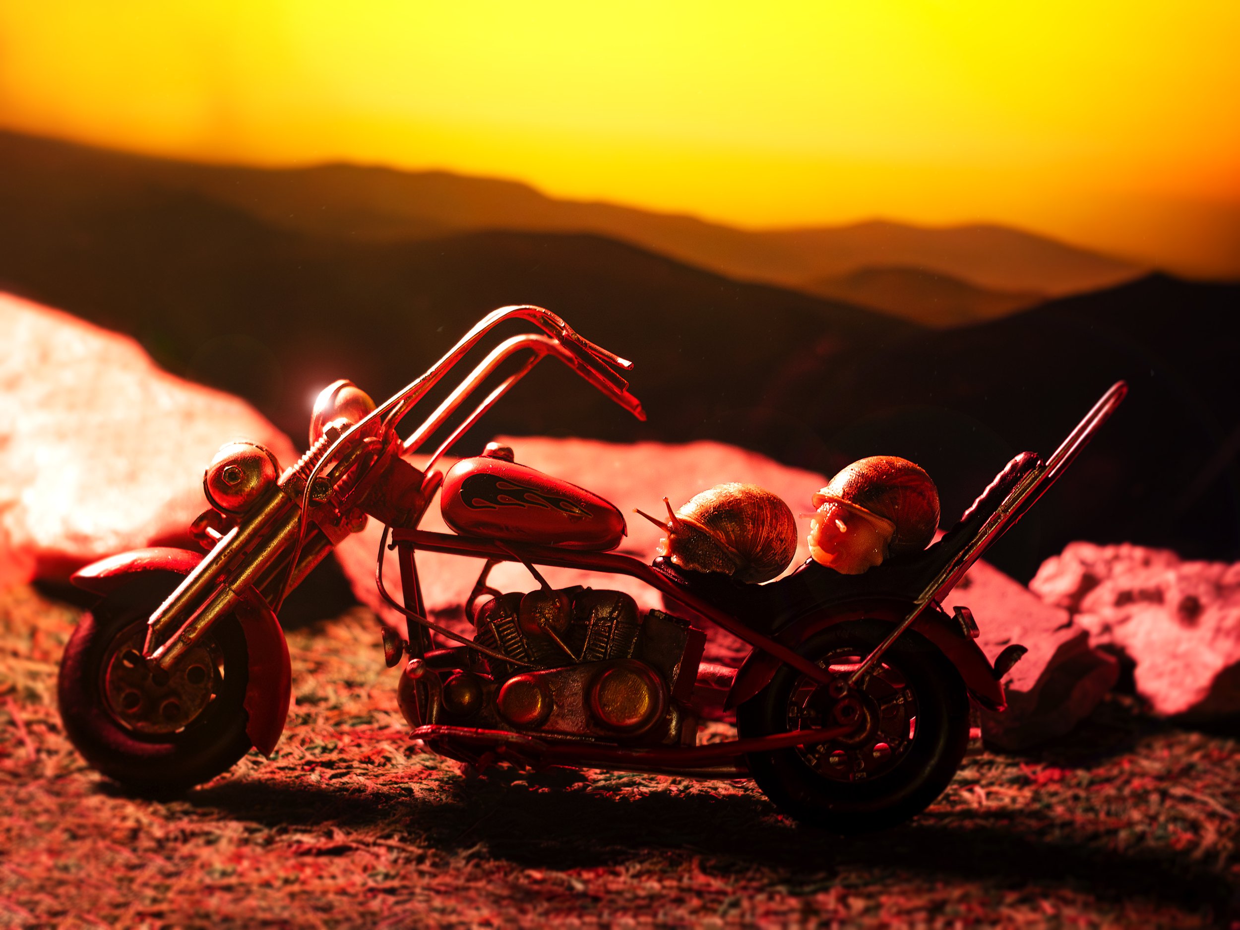 The Open Road