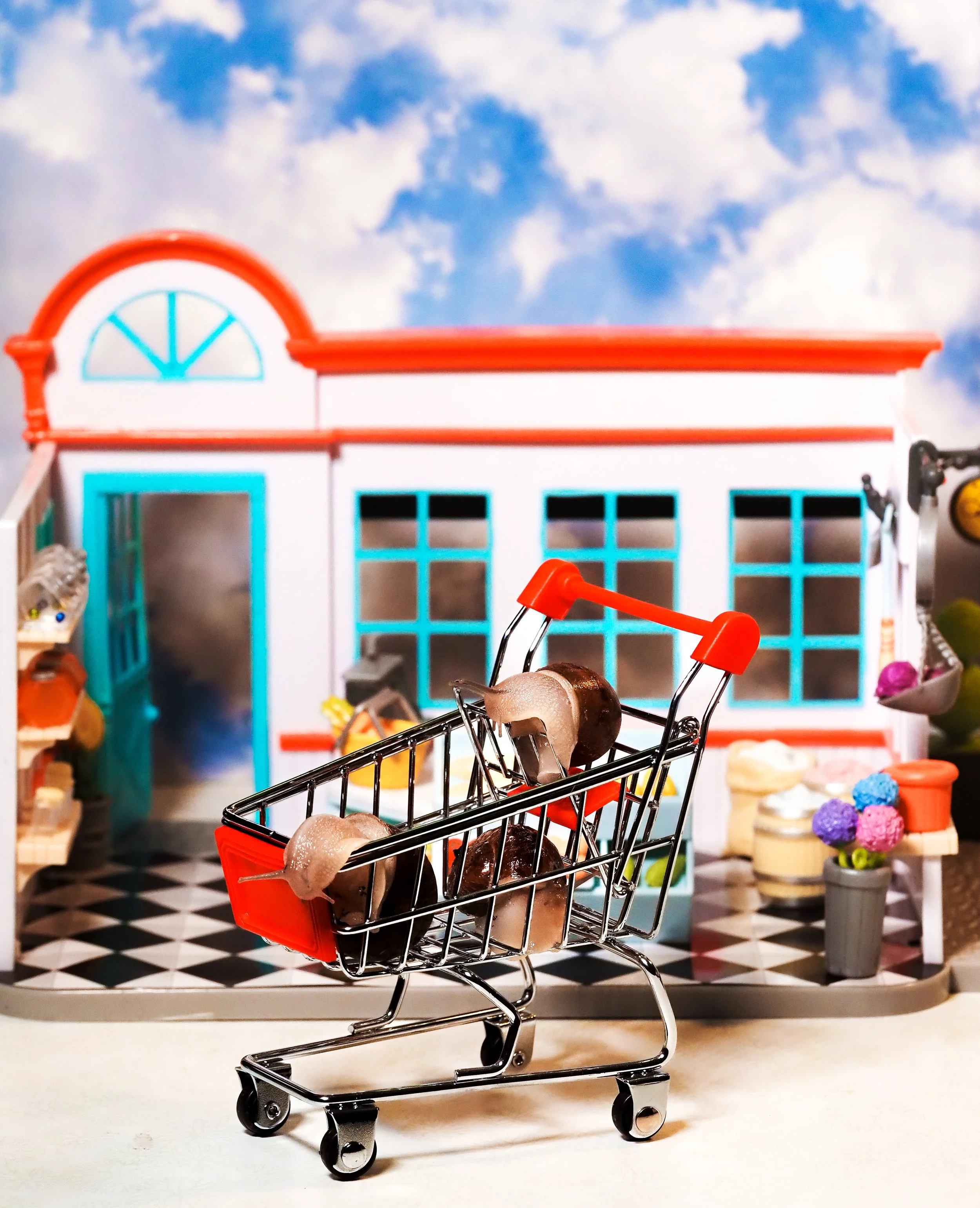 Grocery Store