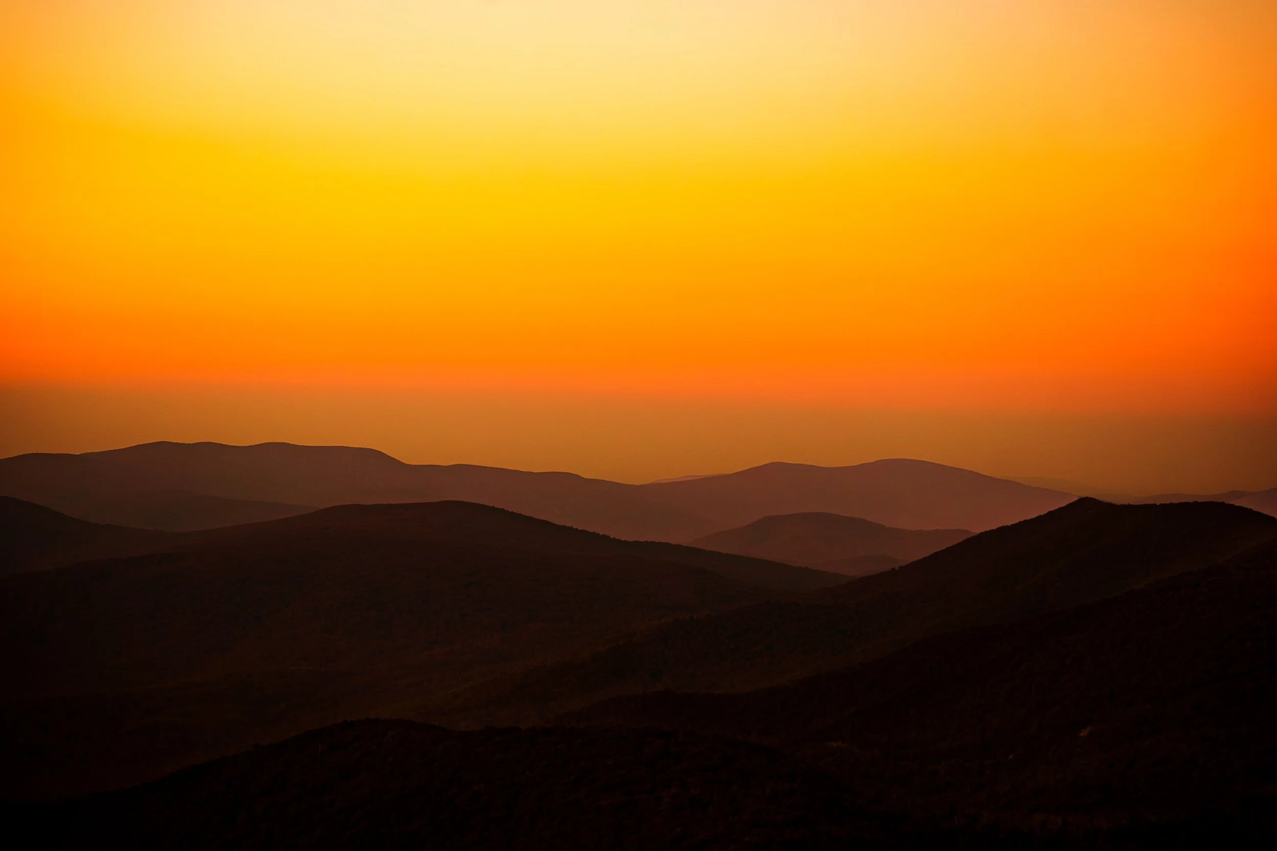An Orange Sunset