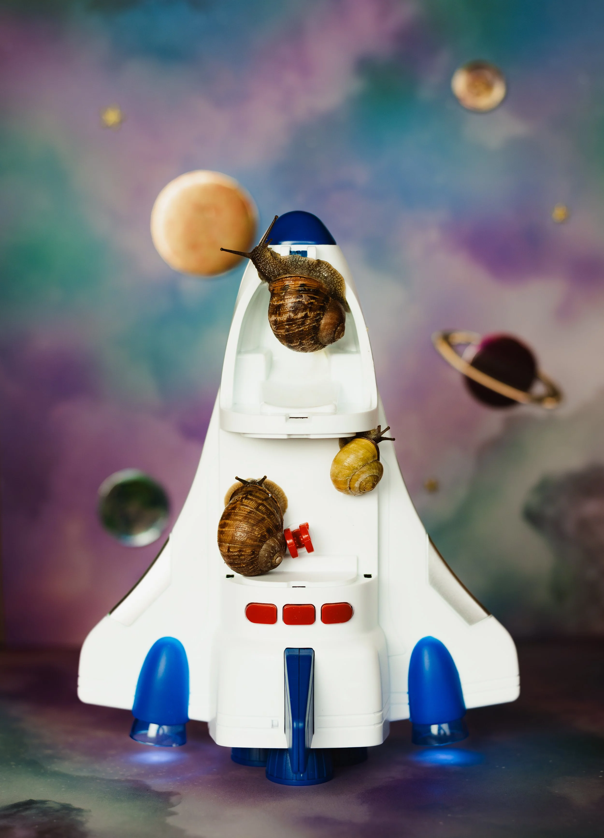 Snail Rocket Ship