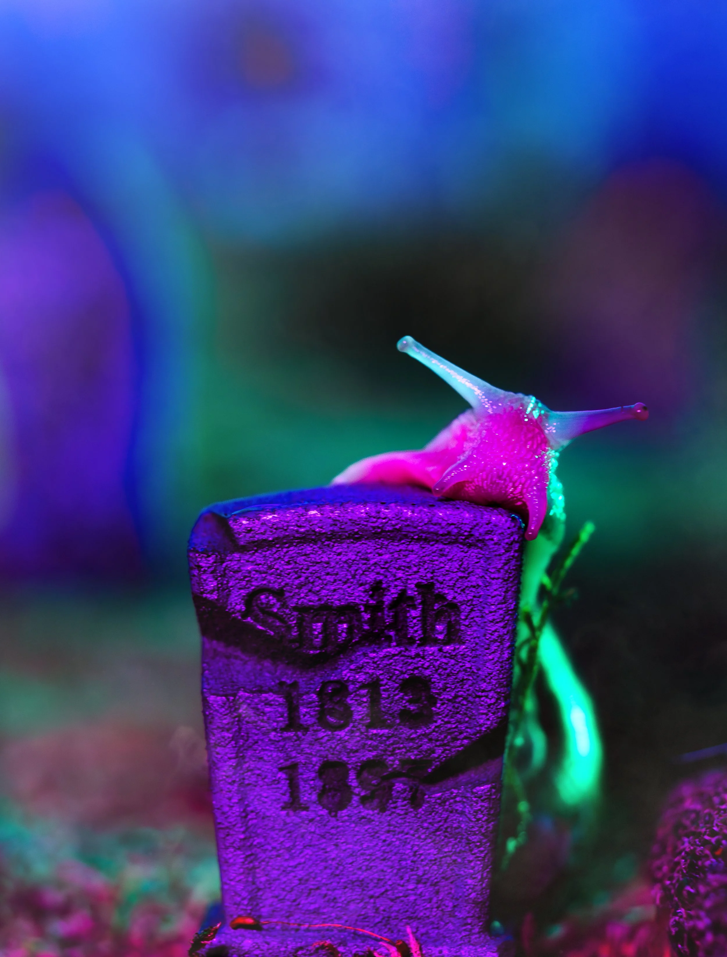 Graveyard