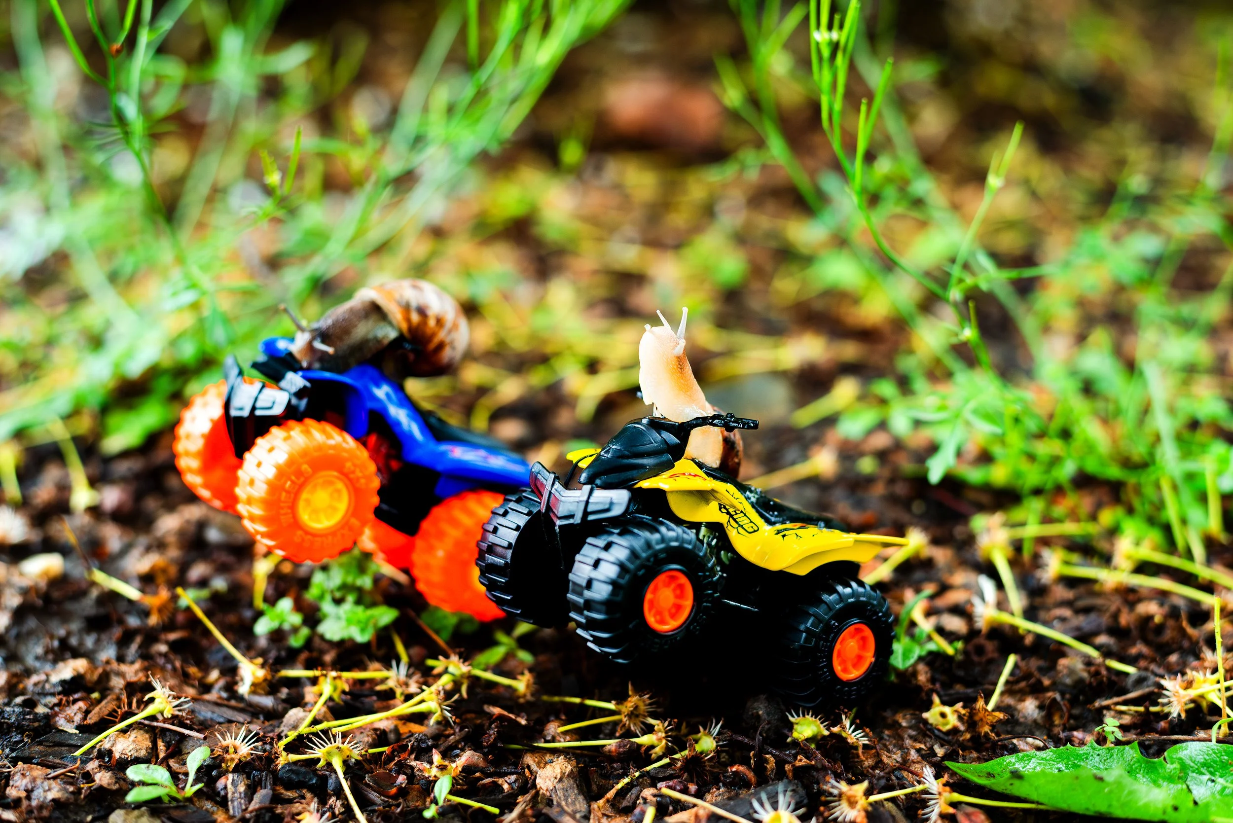 Four Wheeling