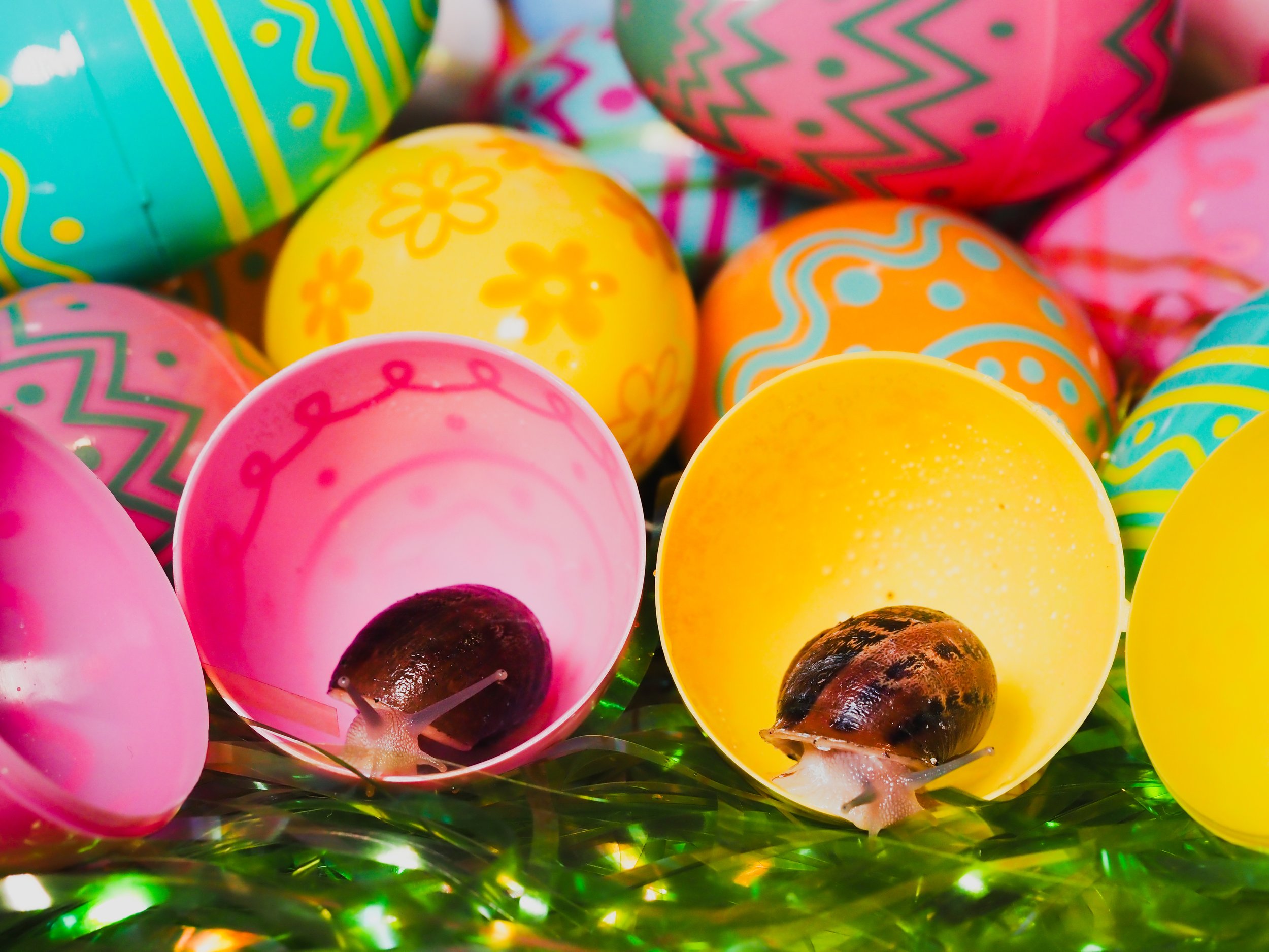 Easter