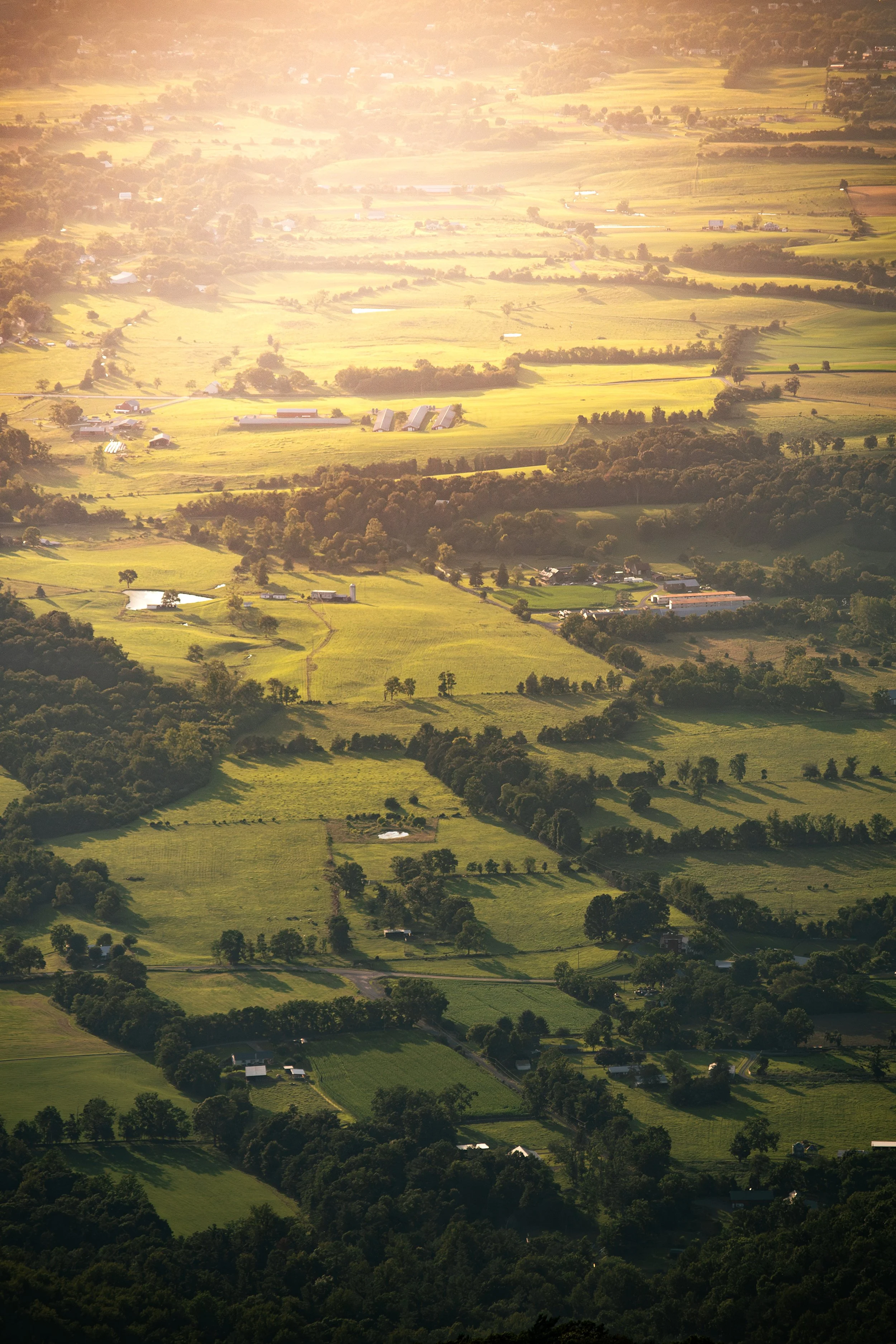 Down Land Views