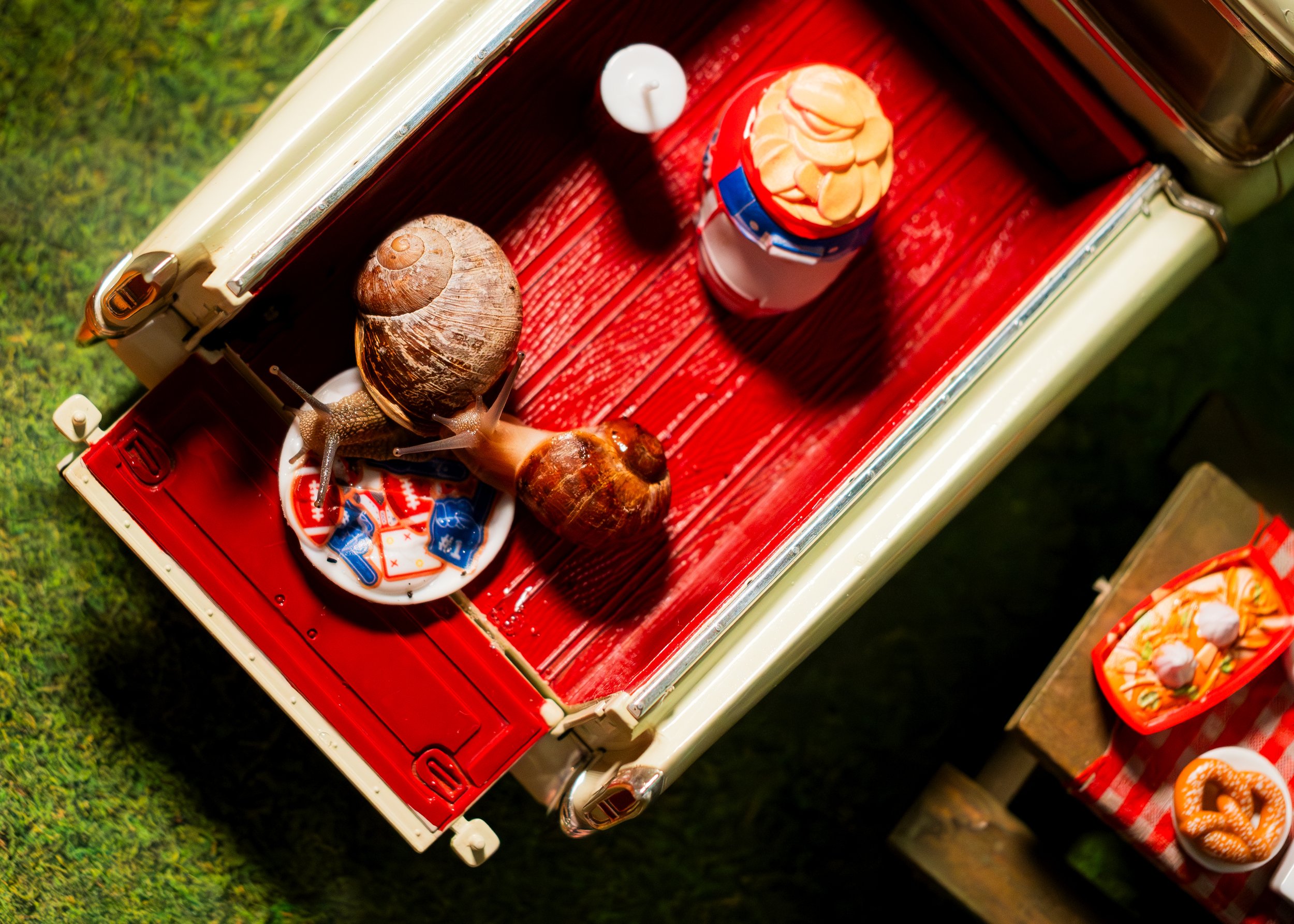 Tailgate