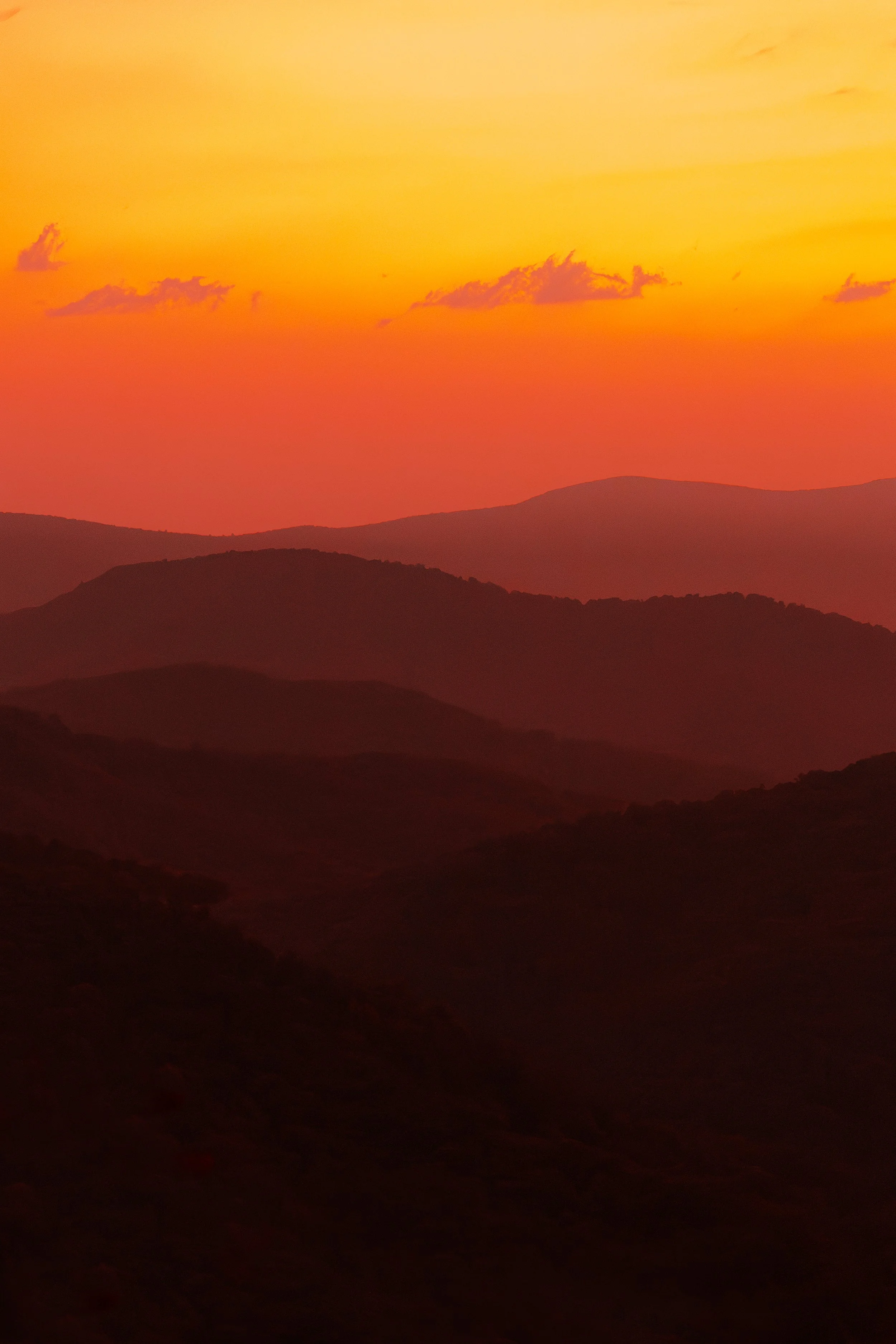 Red Hues