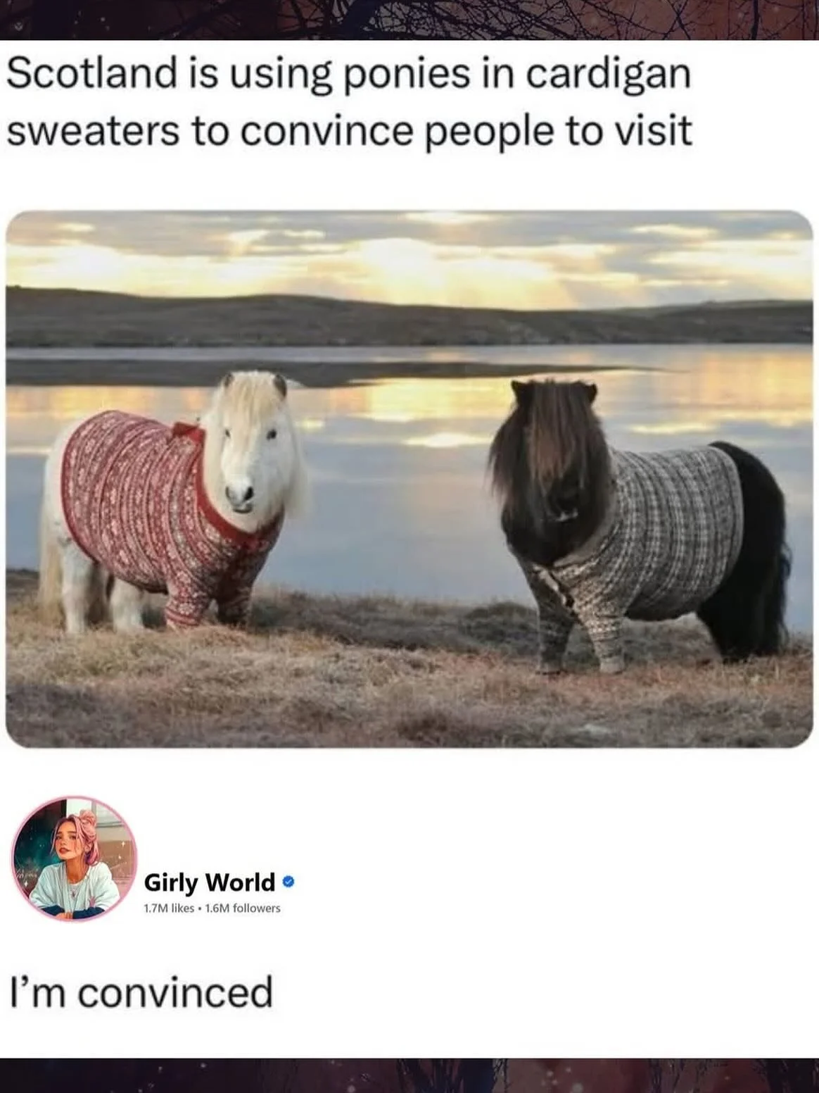 We&rsquo;re convinced too. Which is why we want 22 of you to travel to the magical country of Scotland with us. Yes, 22. Not 50, not 40. This isn&rsquo;t your average big bus tour.
Dates: October 11-21 2026
Highlights: Glasgow, Scottish Highlands, Sh