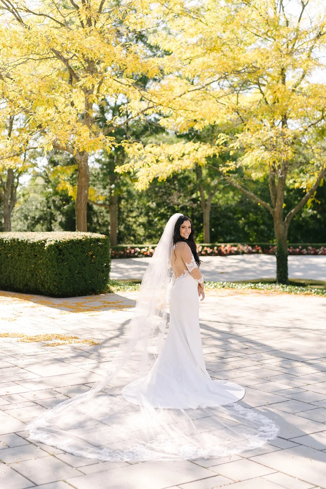 MangoStudios-D-0473.jpg