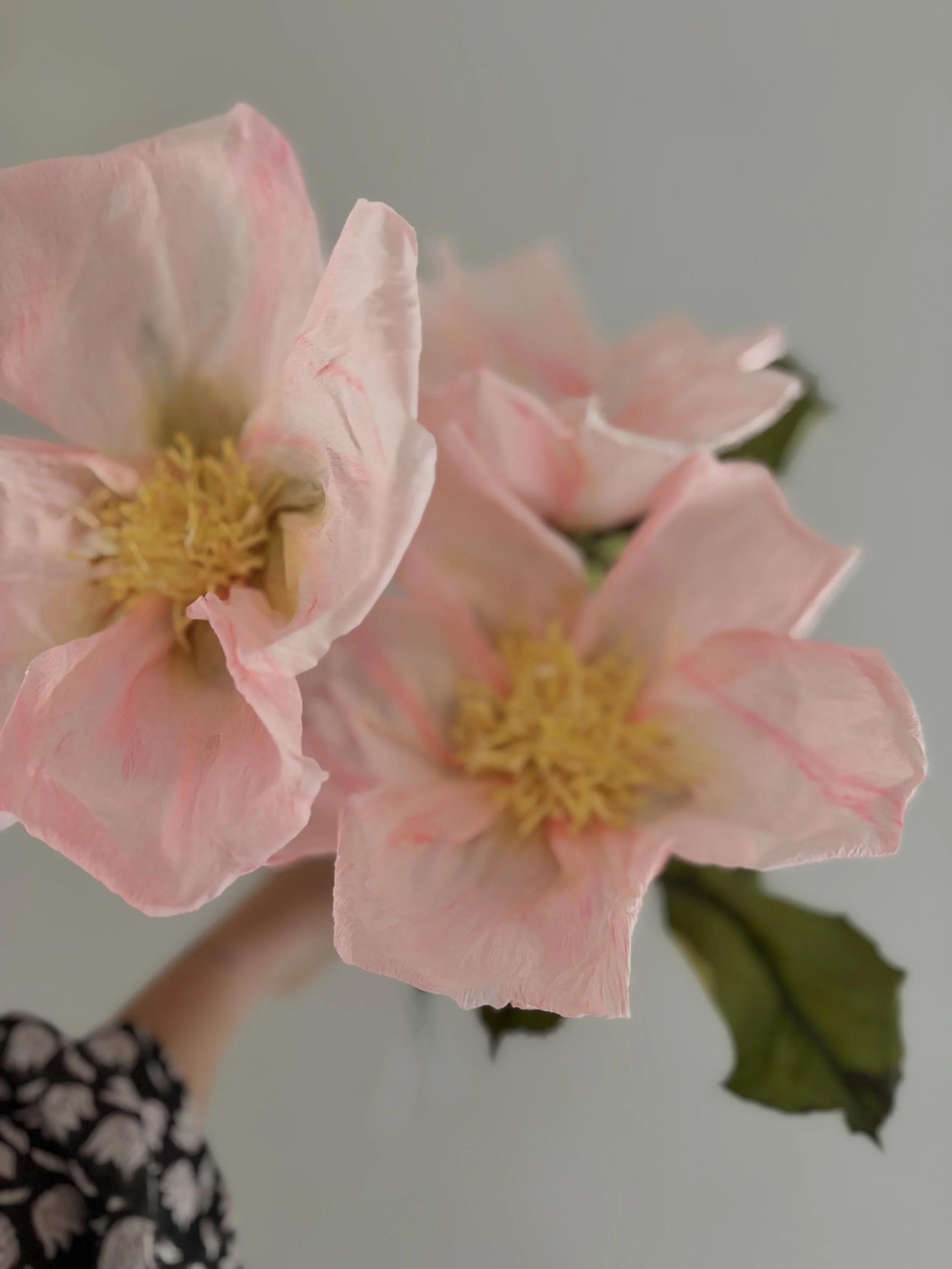 Oversized Roses x Waitrose, Kings Road, London.