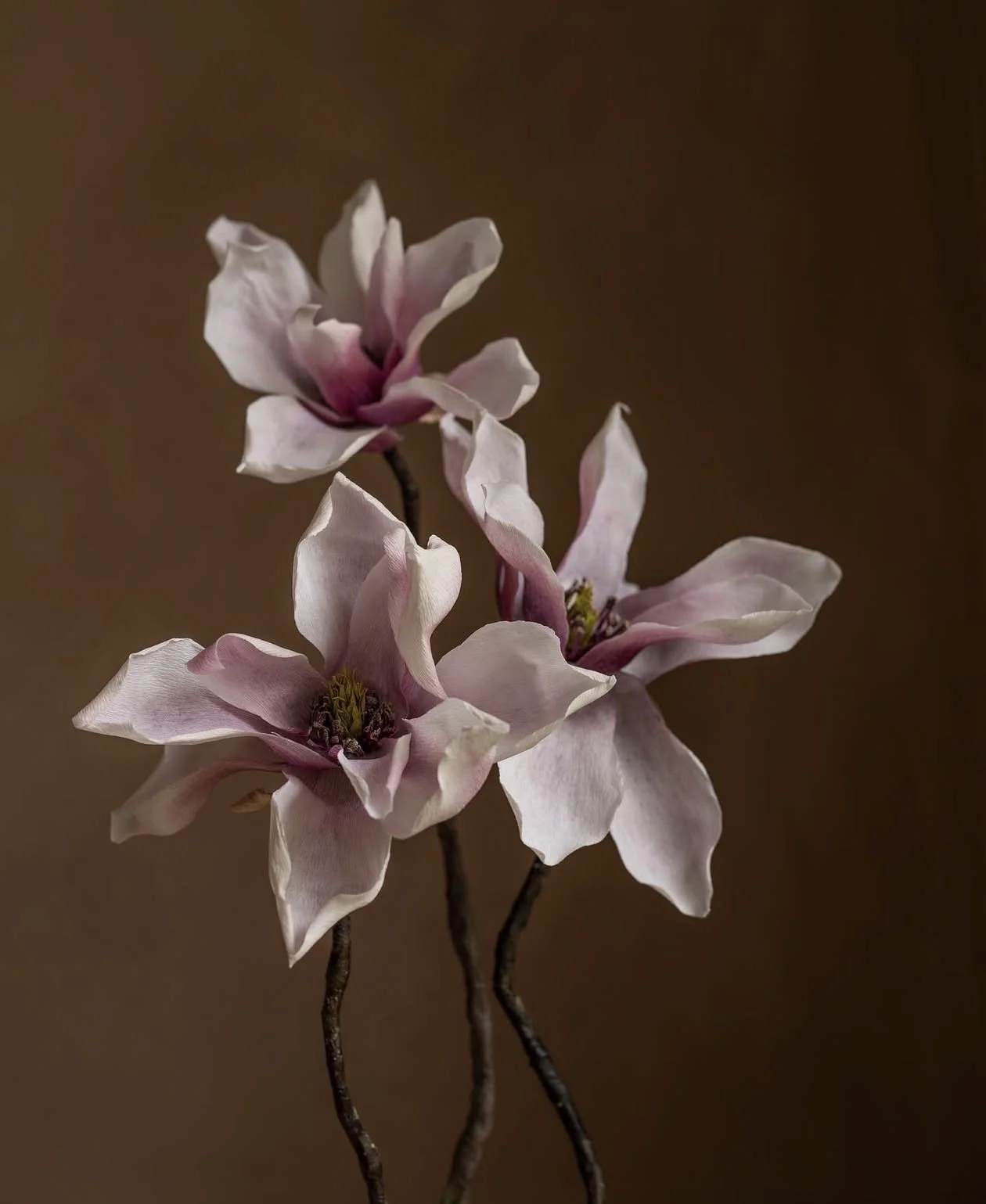 Paper Magnolia for Hana Snow