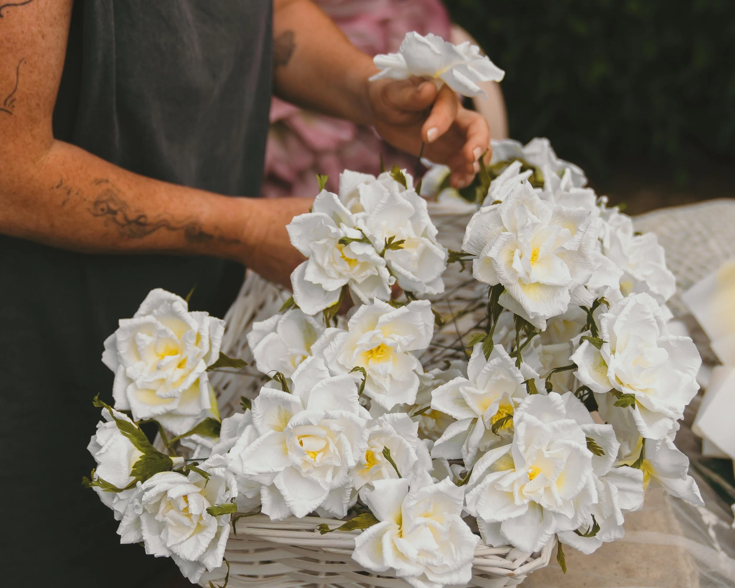 500 Yorkshire Roses x Yorkshire Cancer Research.