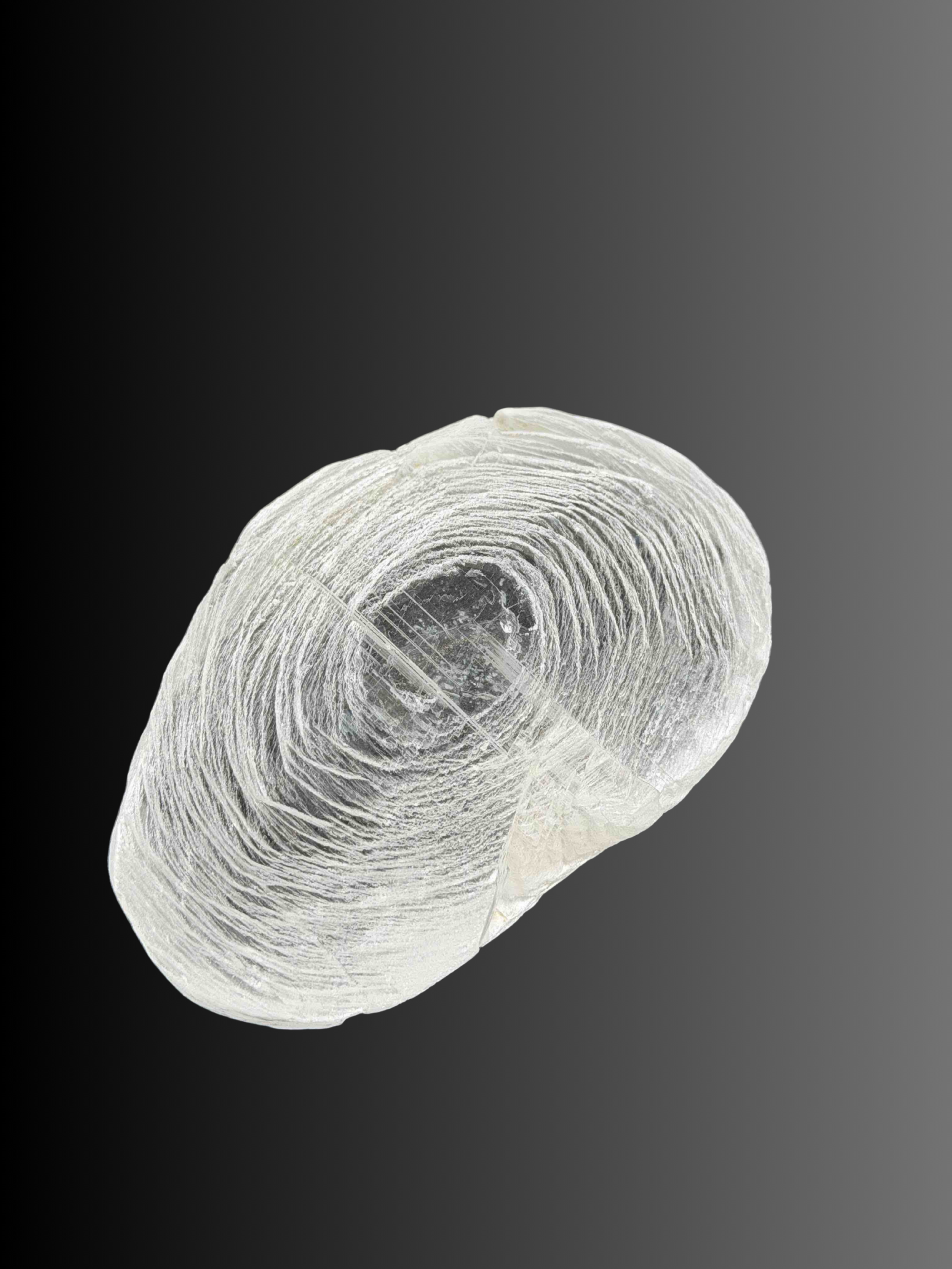 SELENITE FINGERPRINT 40B.png