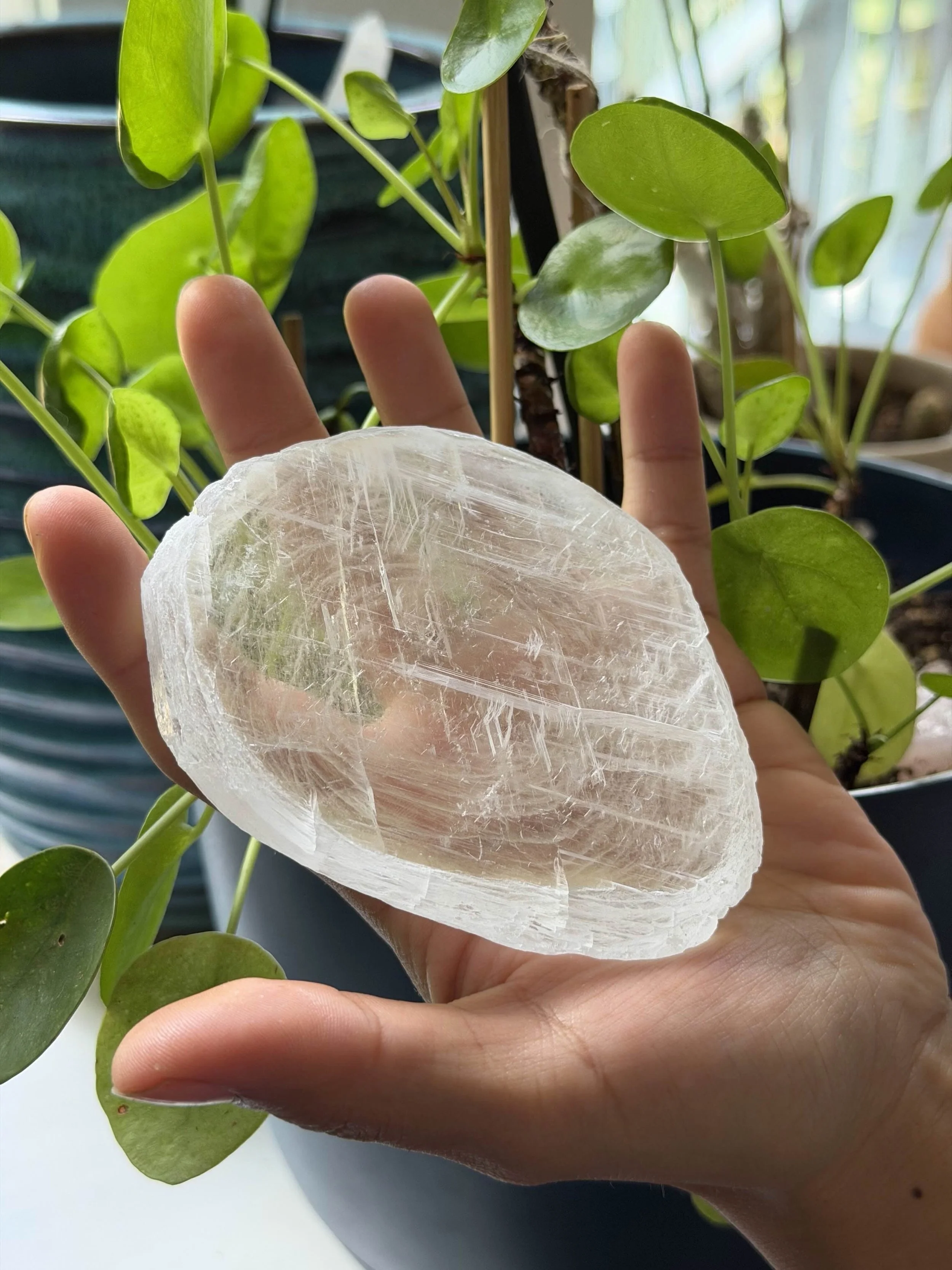 SELENITE FINGERPRINT IN HAND 21.jpeg