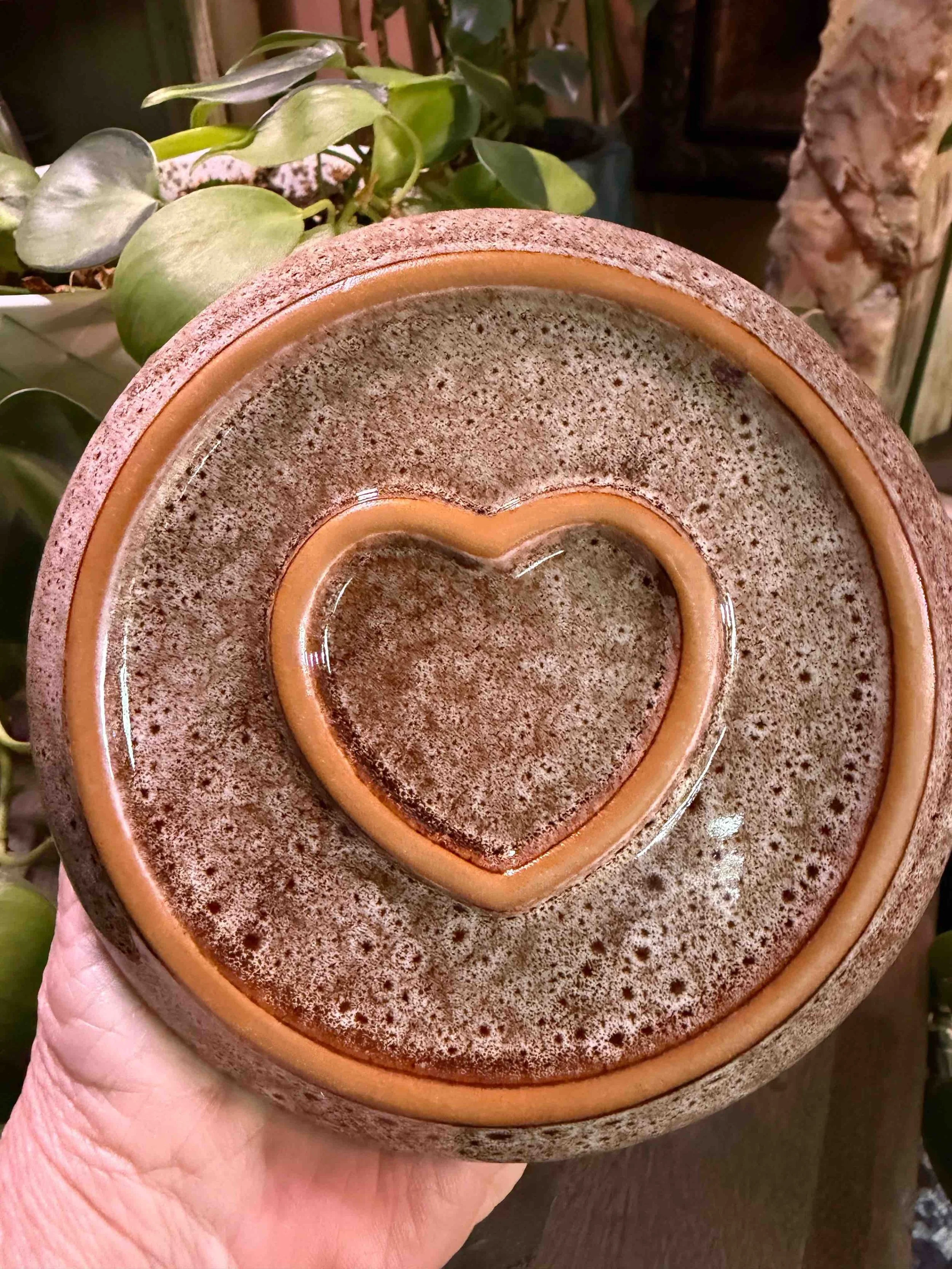 TAN BROWN BOTTOM.jpeg