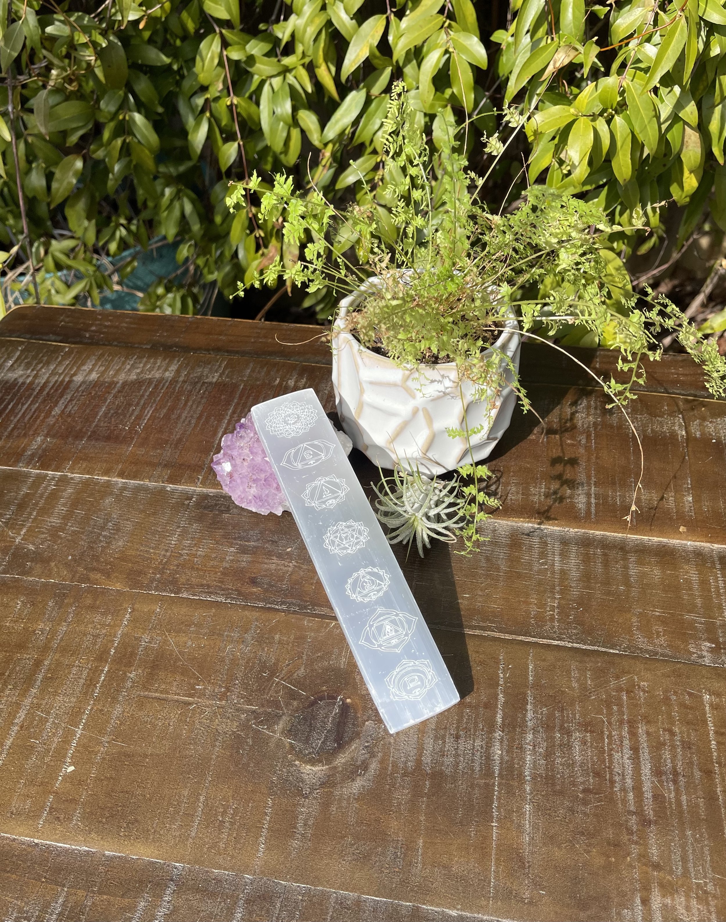 chakra ruler 1.jpg