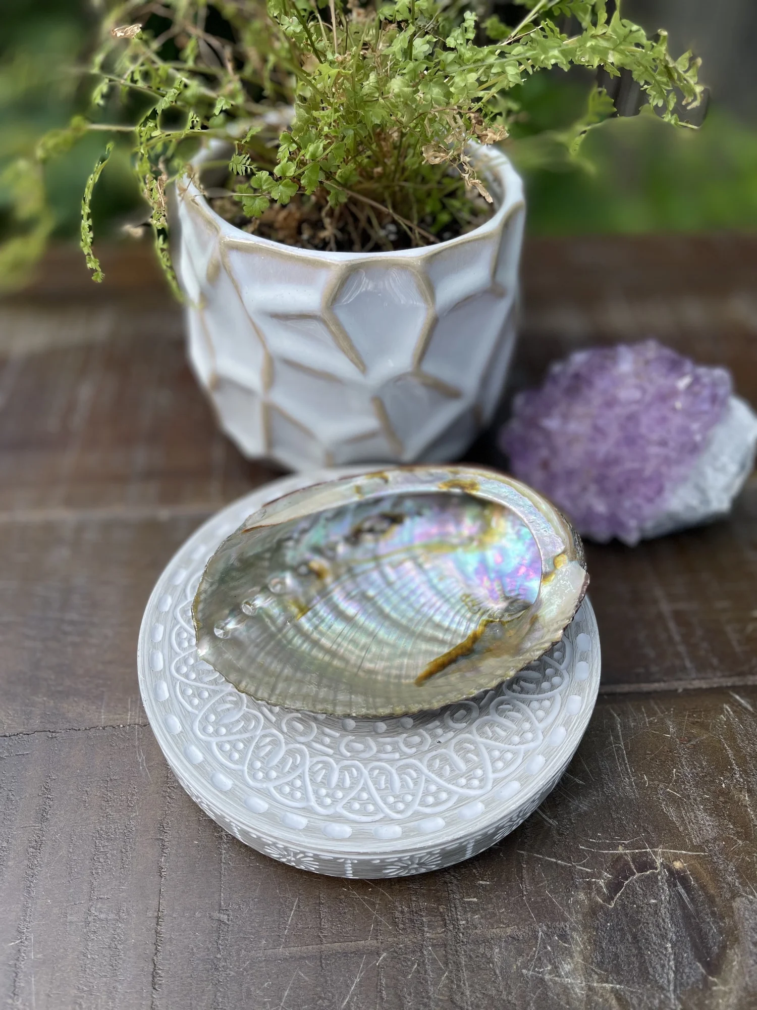 Native Spirit Set: Prachtige Abalone 4 inch met fijne rookbundel van