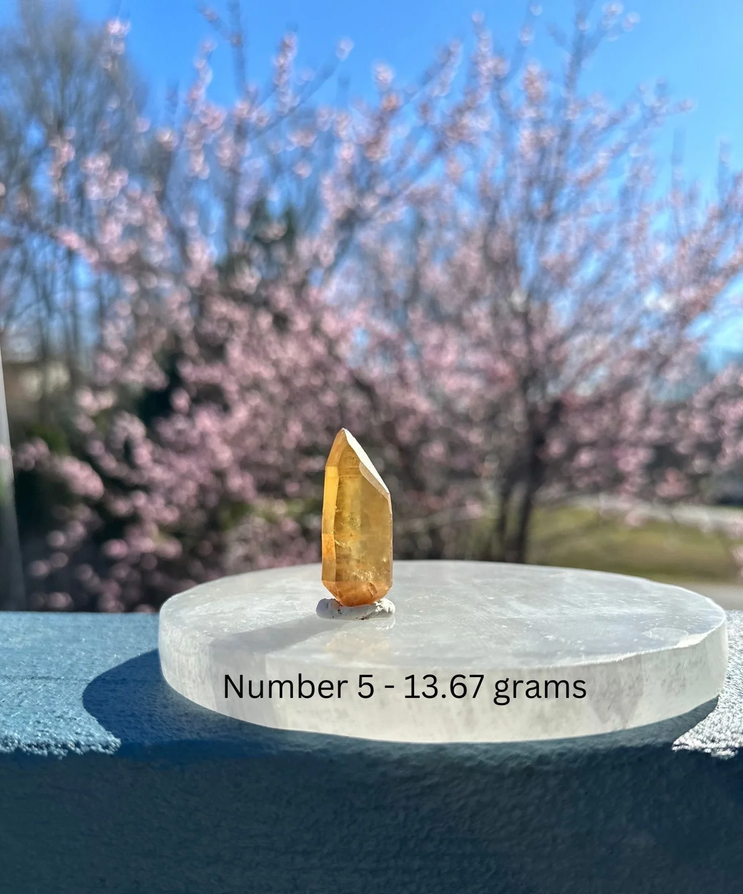 NUMBER+11.jpg