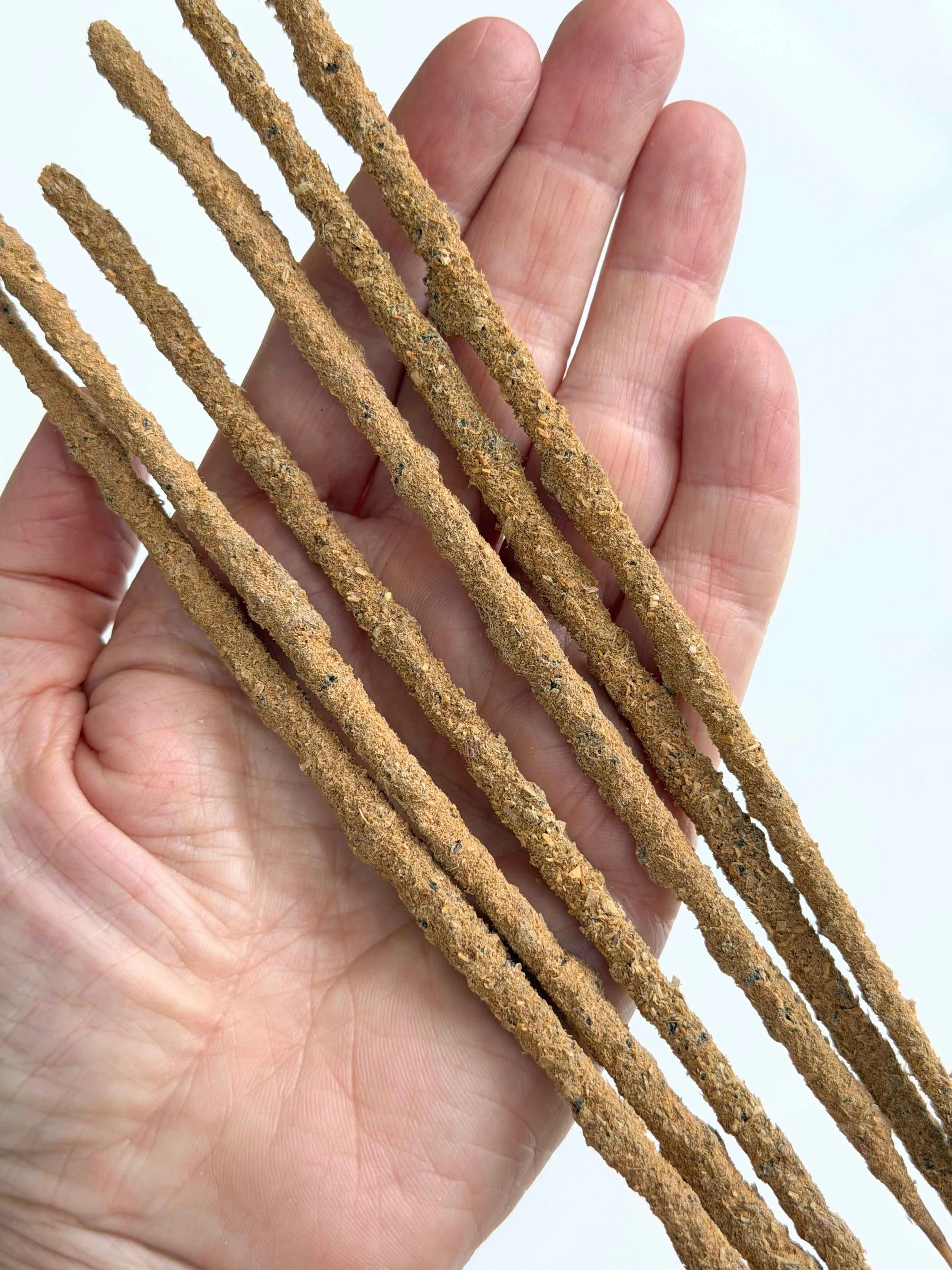 PS NAG CHAMPA IN HAND.jpeg
