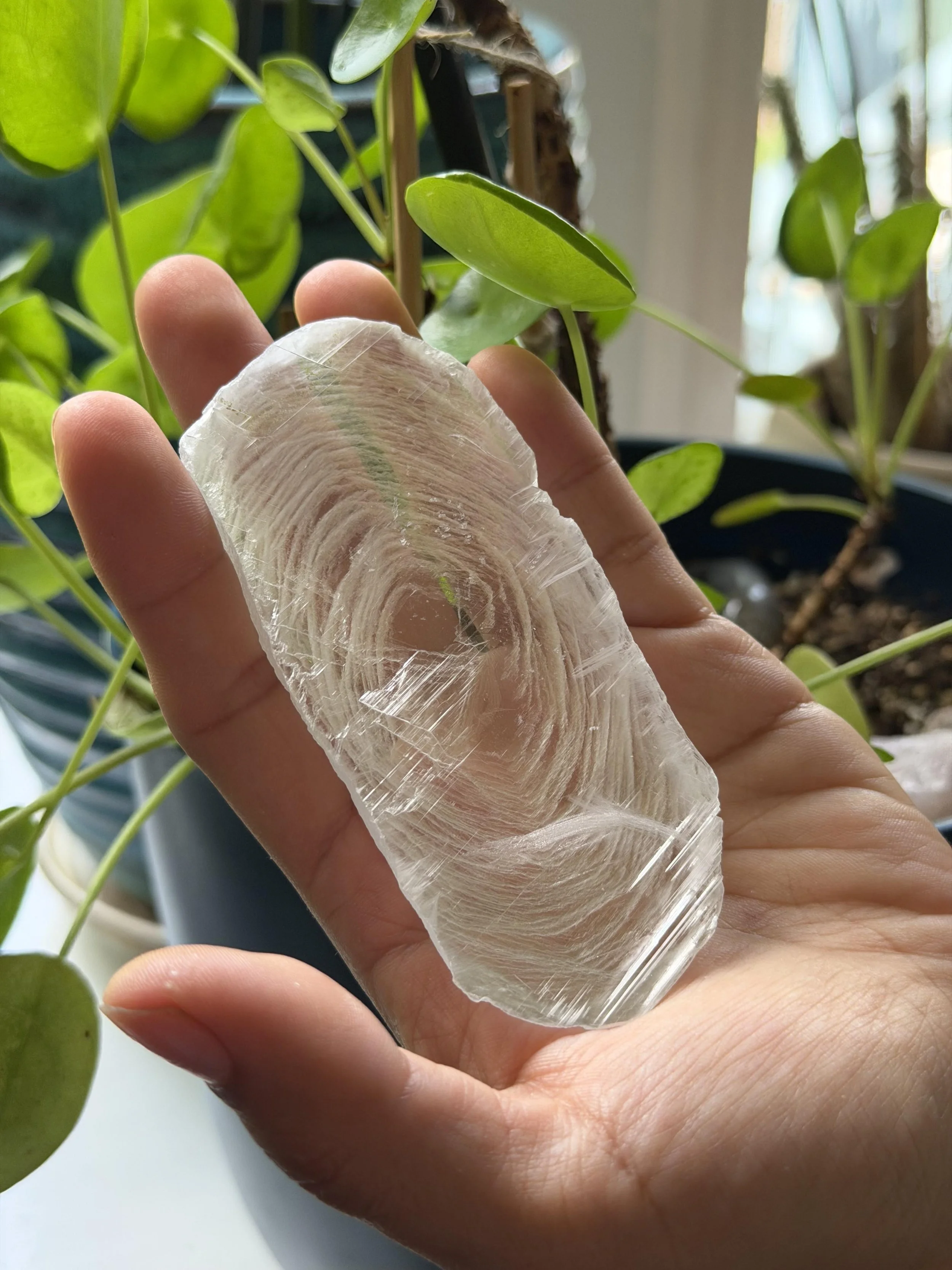 SELENITE FINGERPRINT IN HAND 14.jpeg