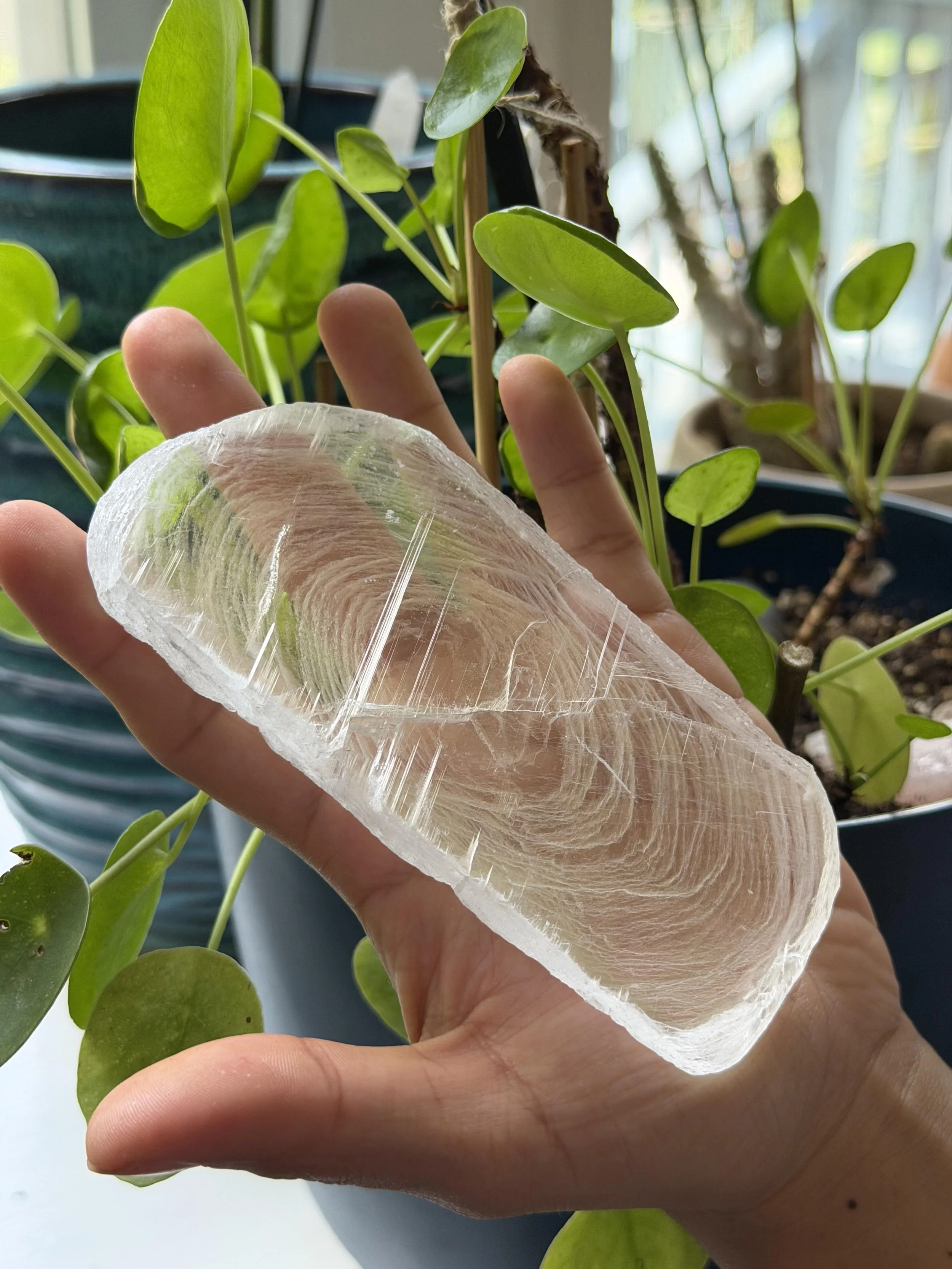 SELENITE FINGERPRINT IN HAND 15.jpeg