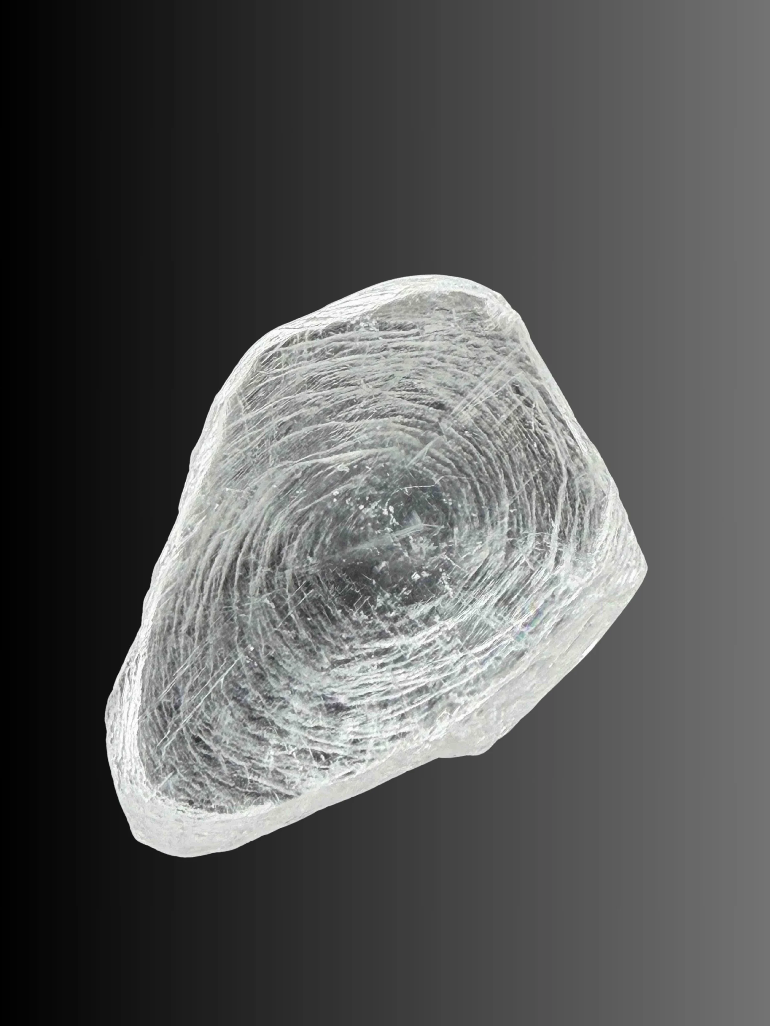 SELENITE FINGERPRINT 2B.jpg