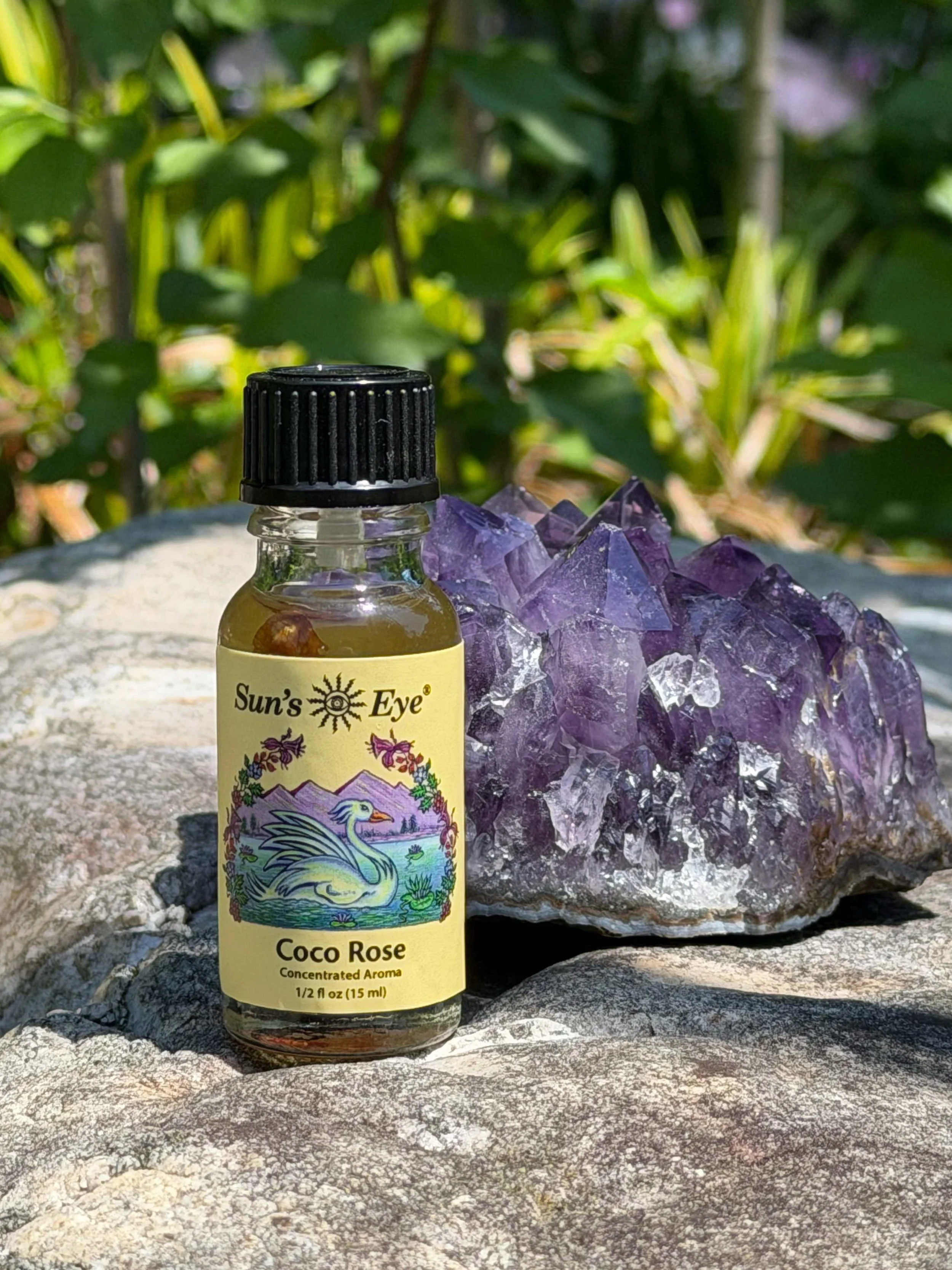 SUN'S EYE COCO ROSE OIL.jpeg