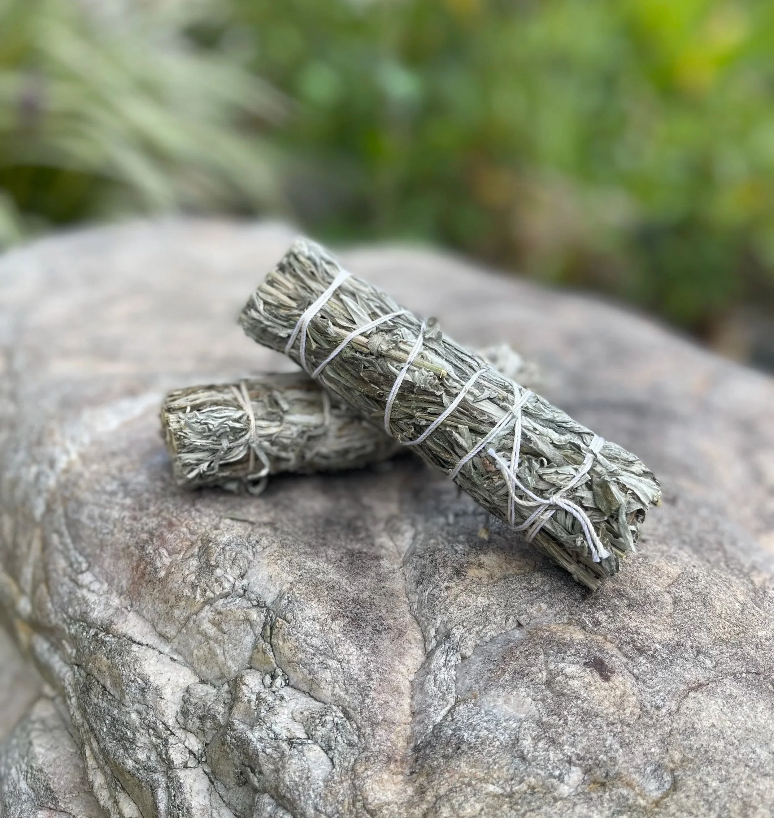black+sage+2.jpg