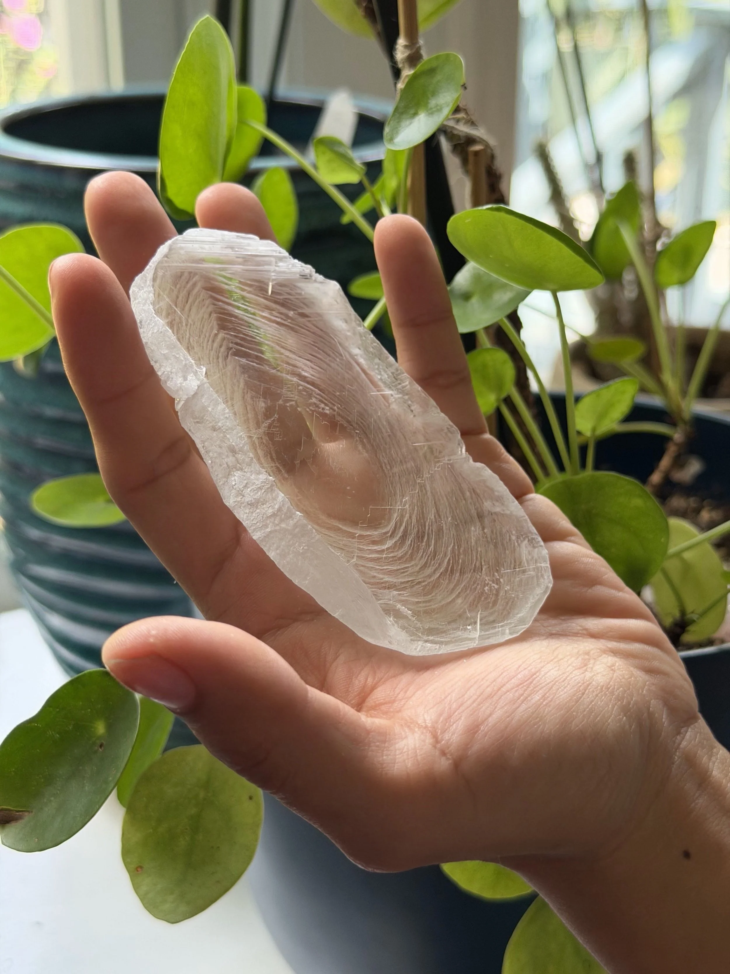 SELENITE FINGERPRINT IN HAND 12.jpeg