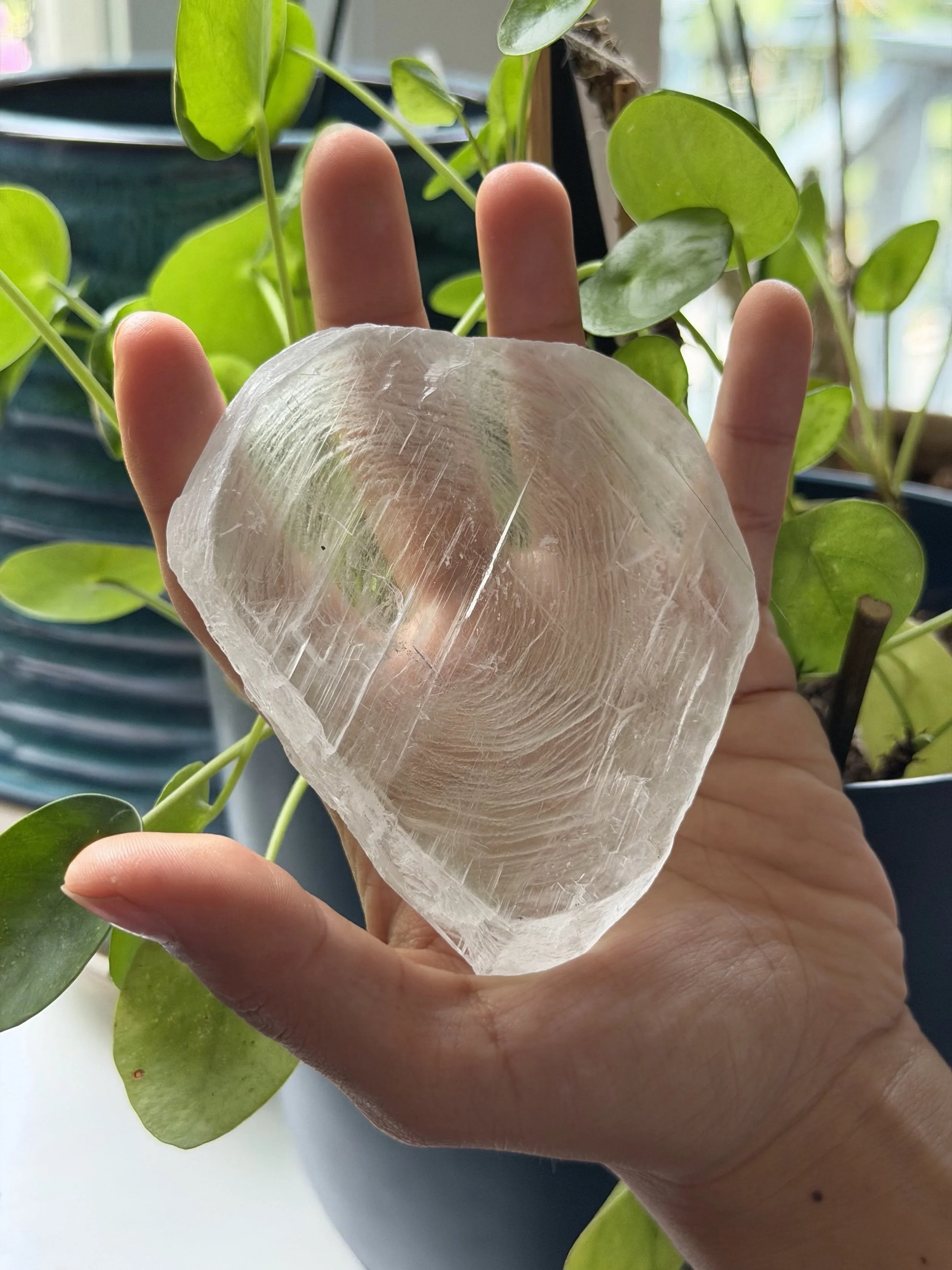 SELENITE FINGERPRINT IN HAND 29.jpeg