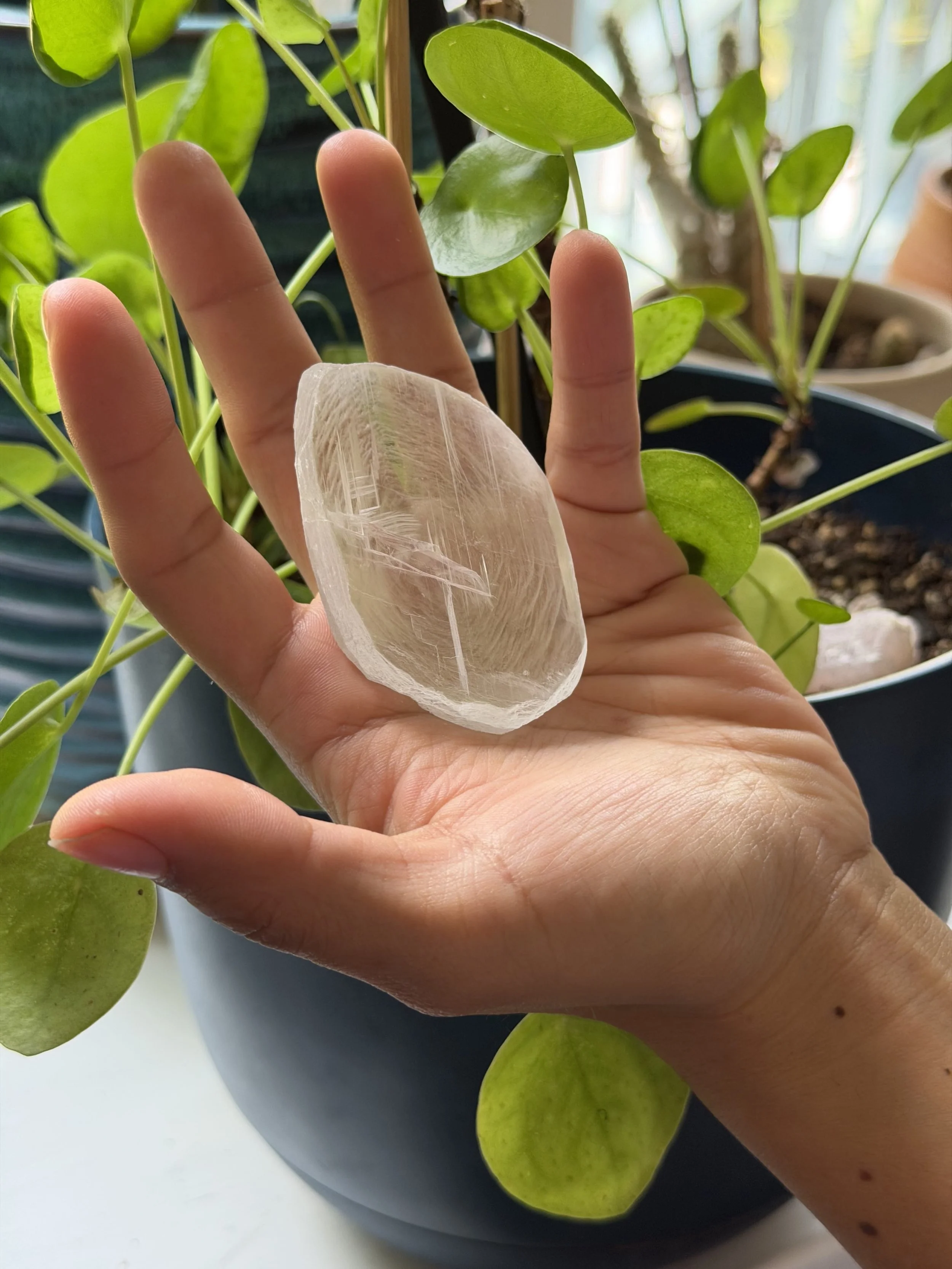 SELENITE FINGERPRINT IN HAND 23.jpeg