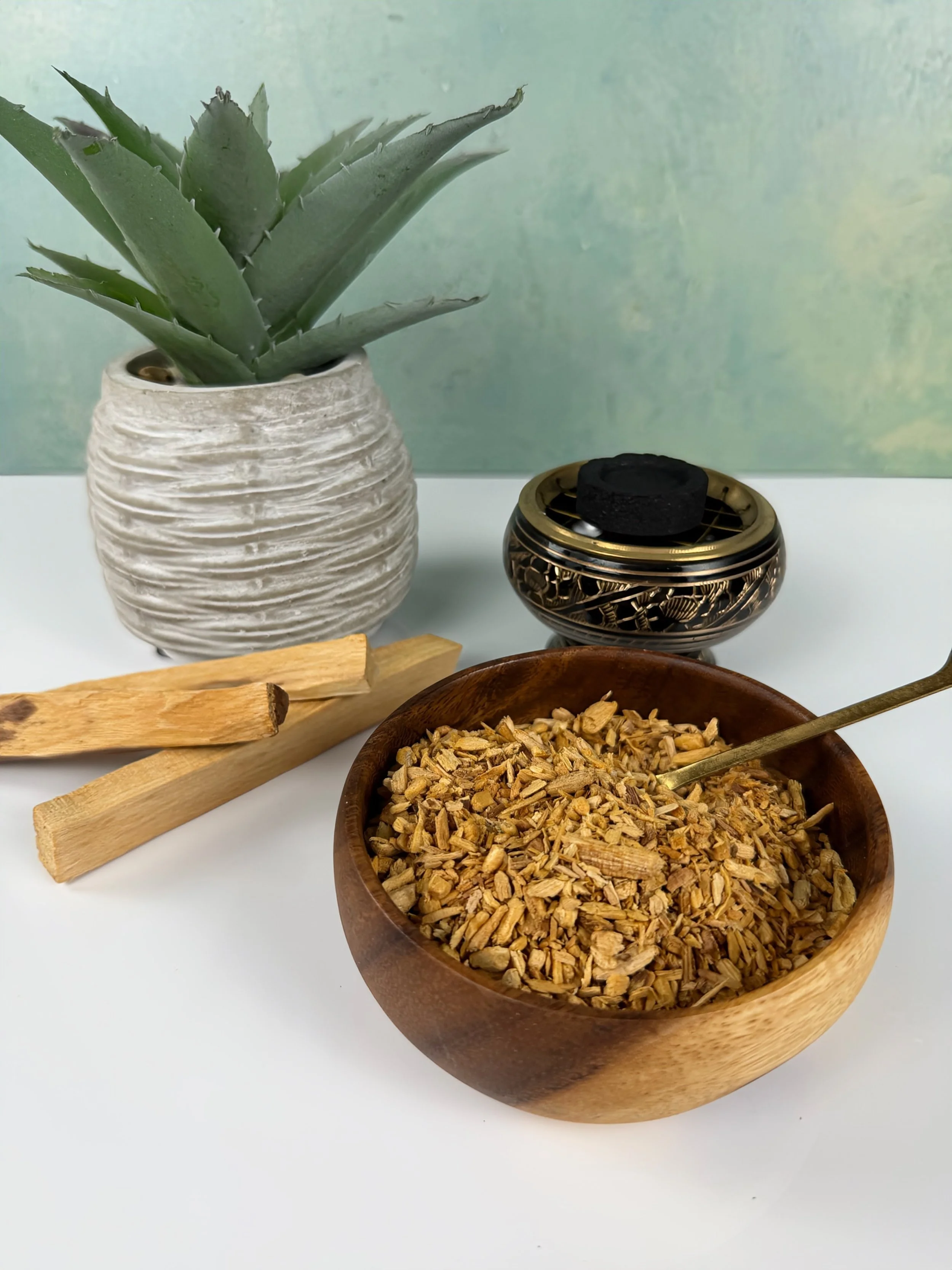 PALO SANTO CHIPS IN BOWL.jpeg