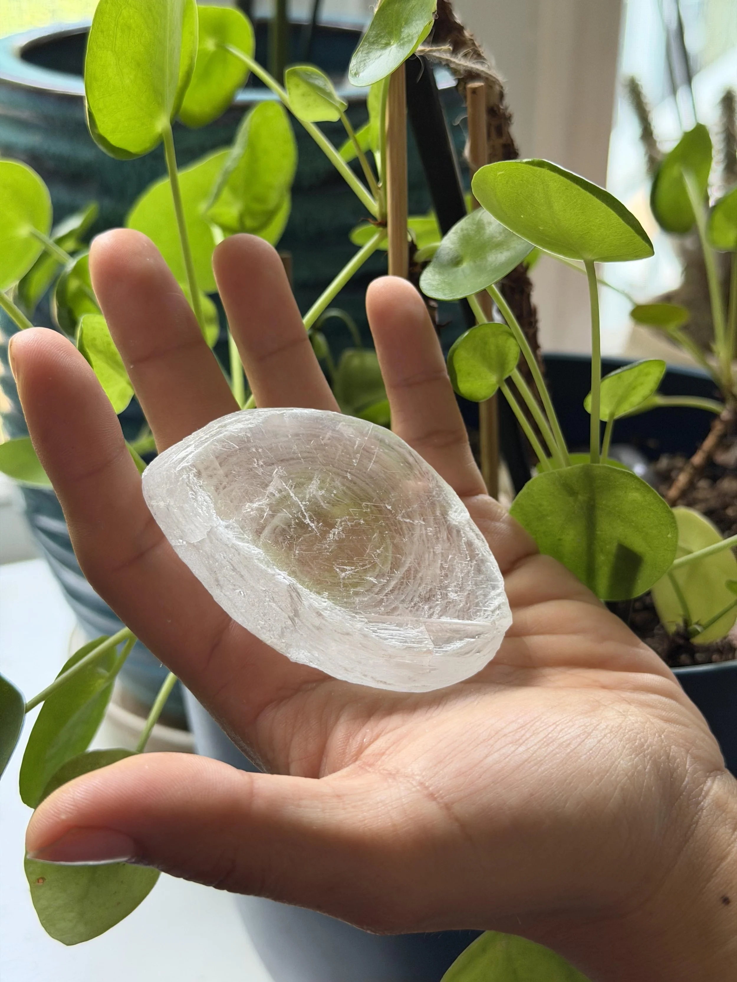 SELENITE FINGERPRINT IN HAND 9.jpeg