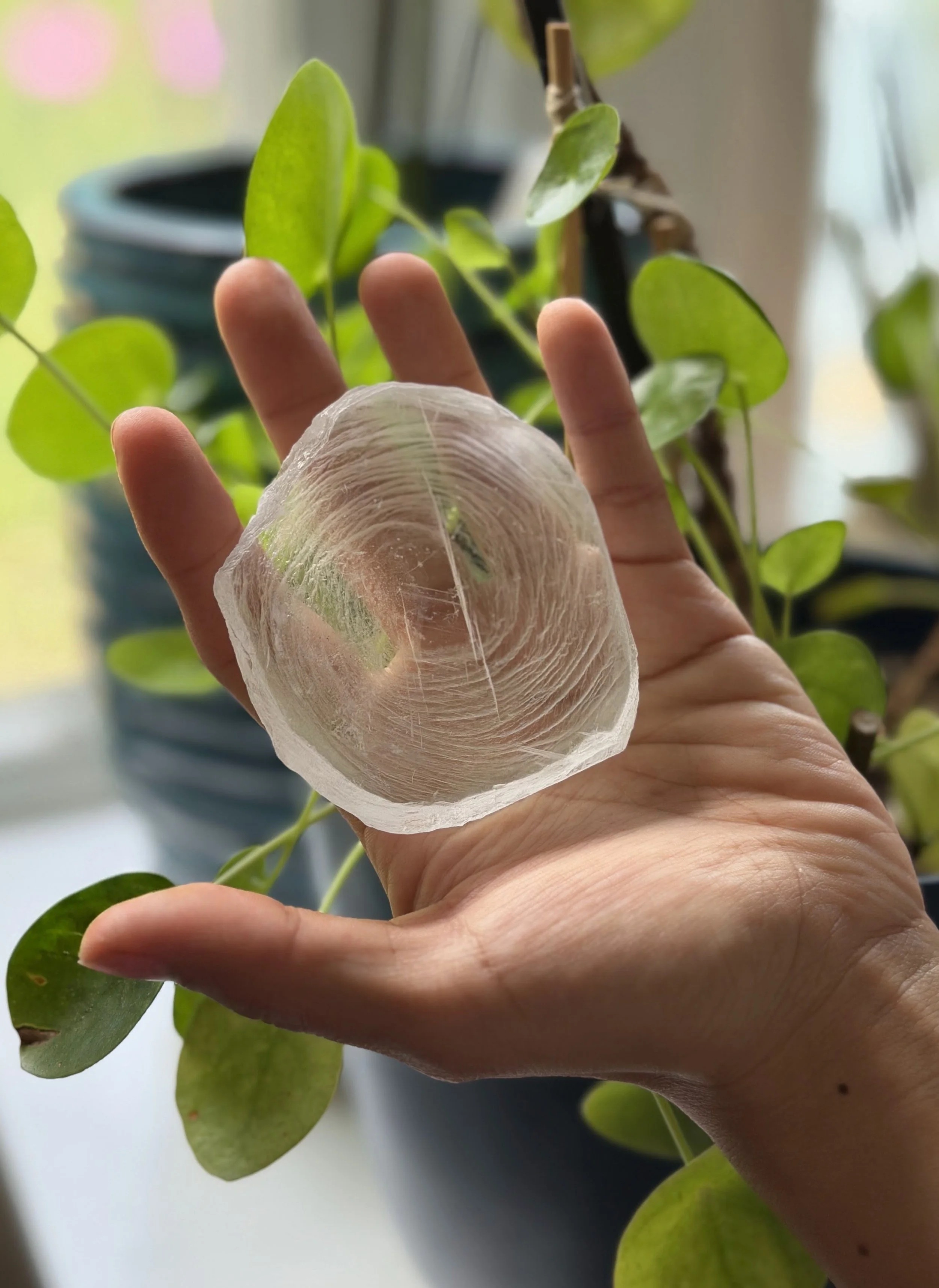 SELENITE FINGERPRINT IN HAND 36.jpeg