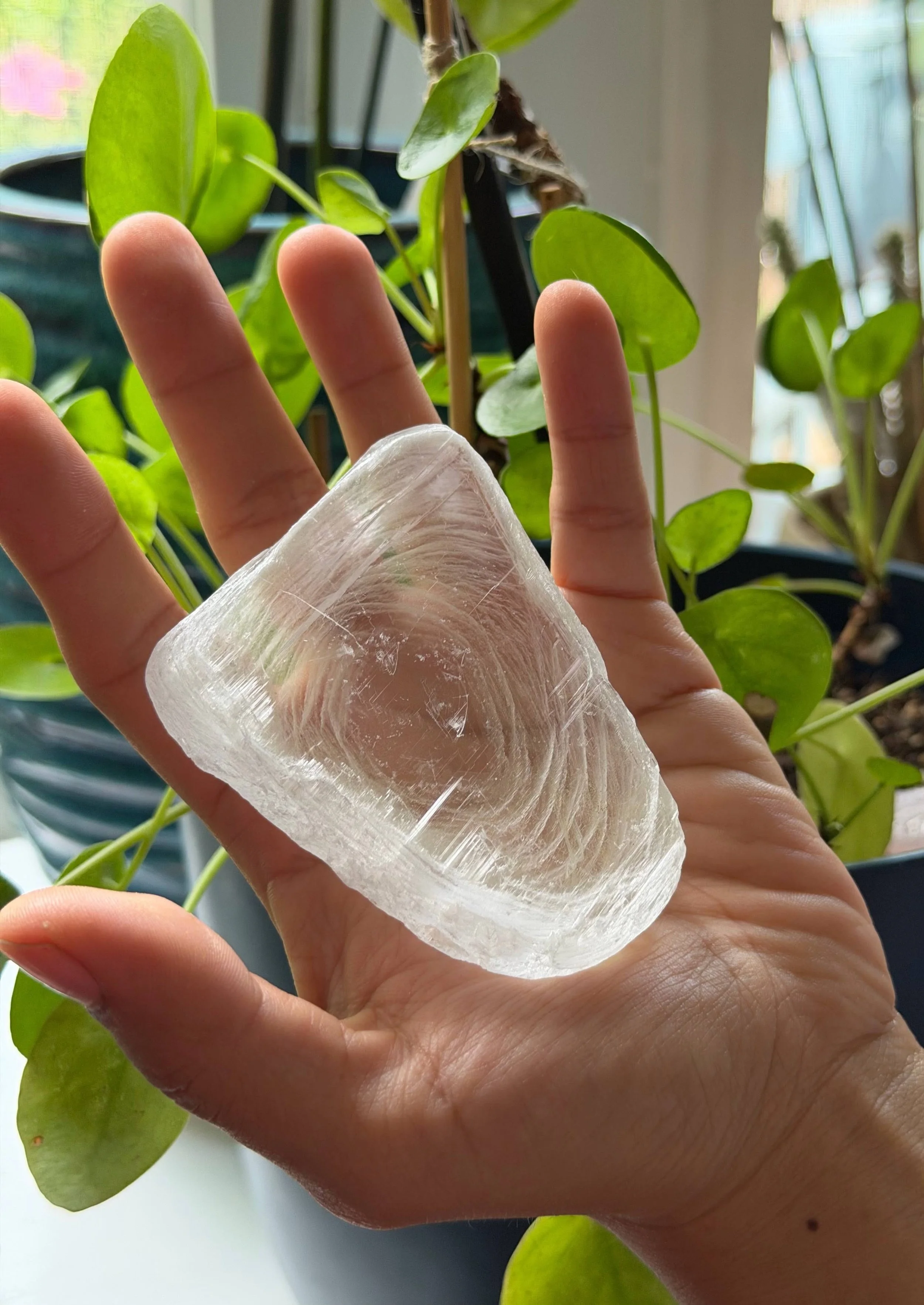 SELENITE FINGERPRINT IN HAND 37.jpeg