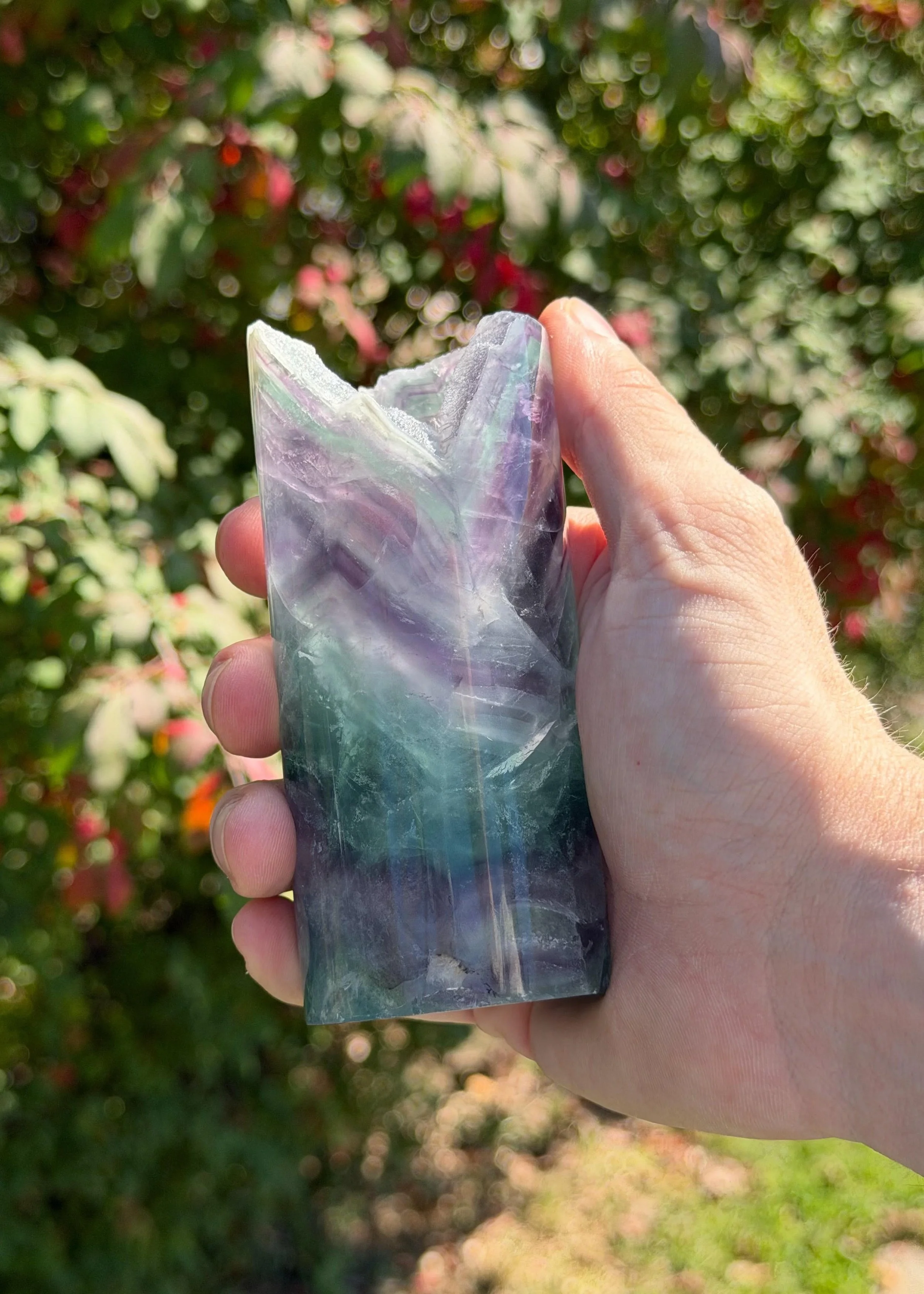 IN HAND 10.jpeg