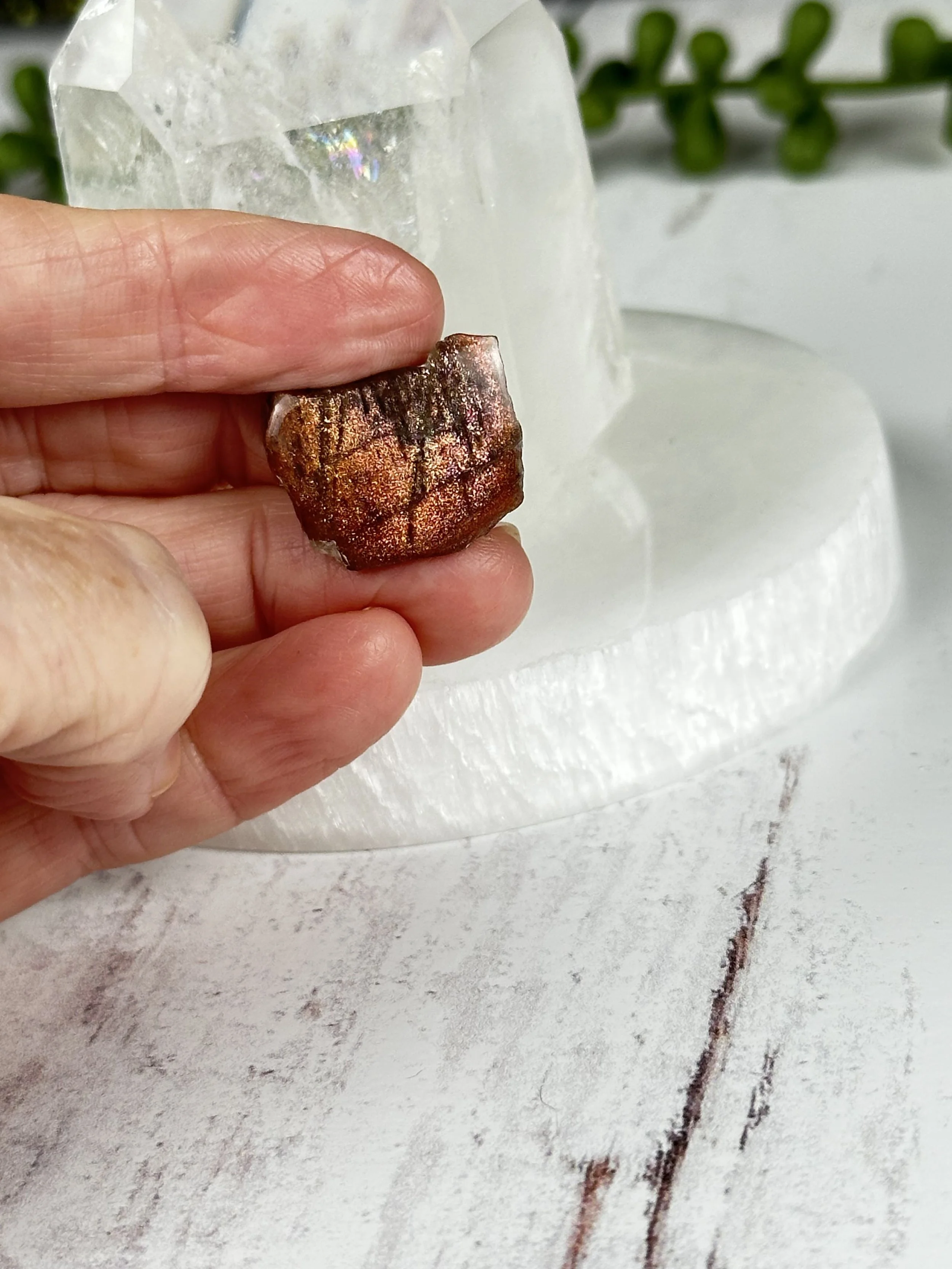 PURPLE HAZE 32B.jpeg