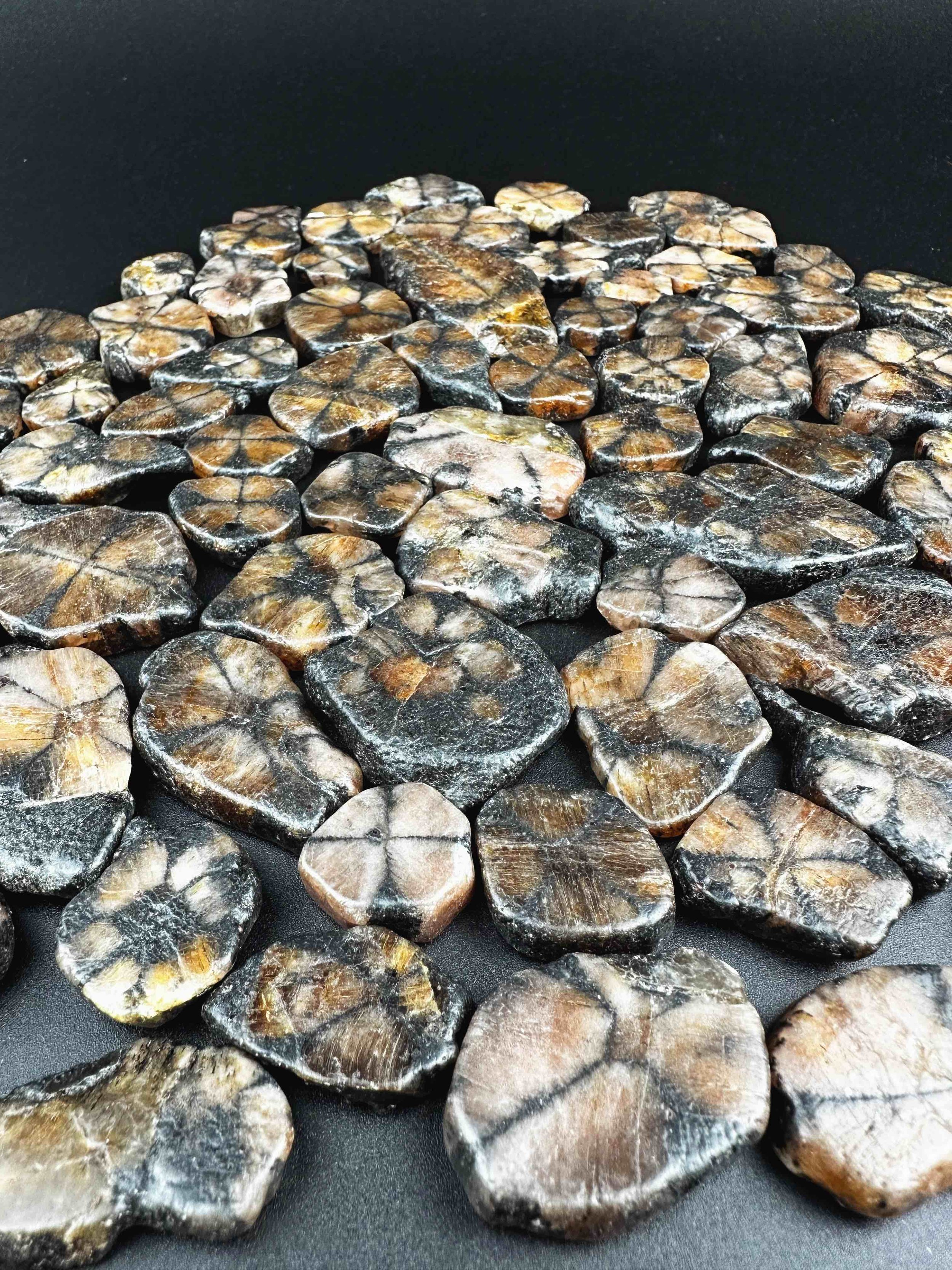 Natural Chiastolite Polished Slab / Slice Crystal "Cross Stone"