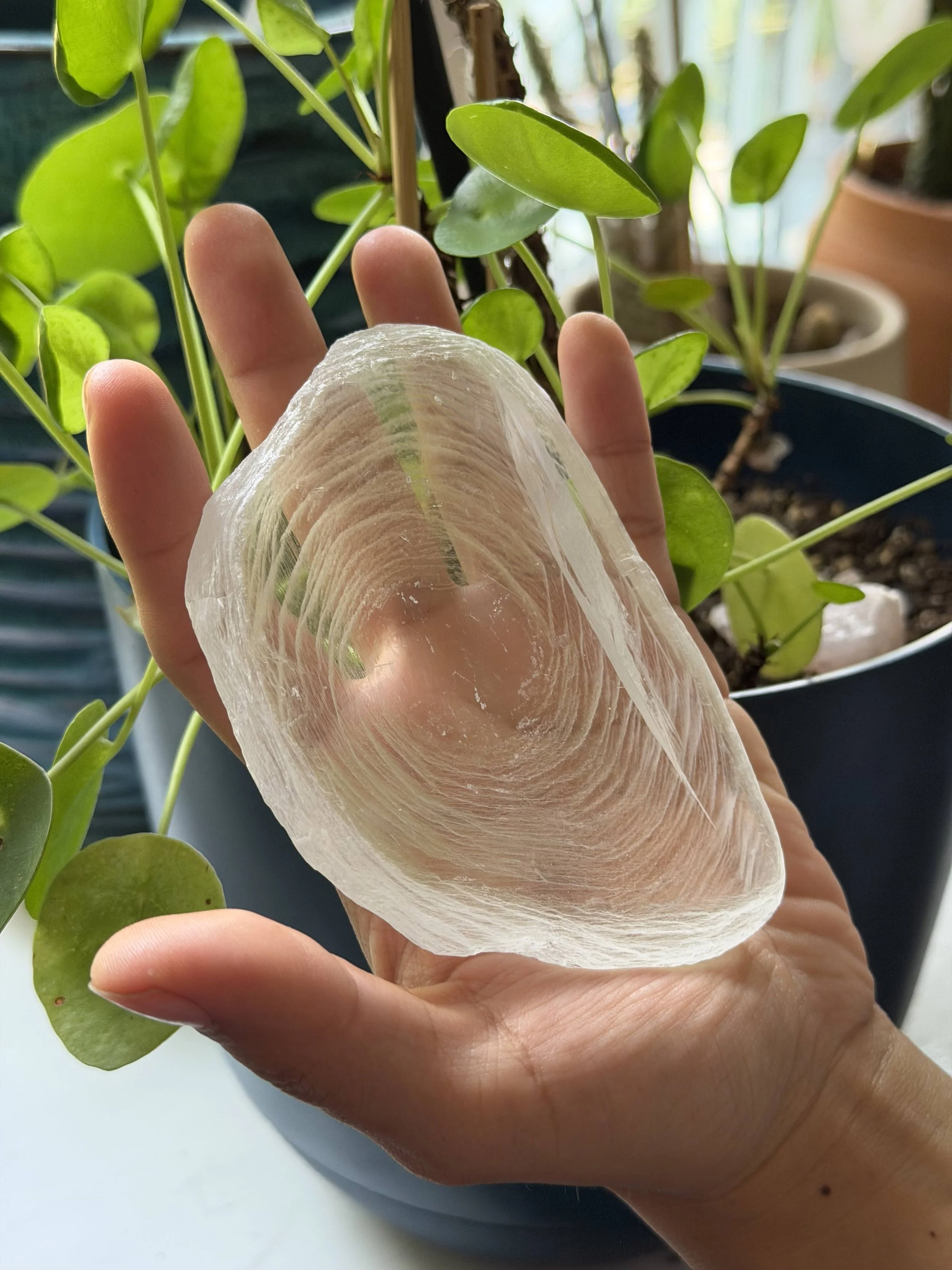 SELENITE FINGERPRINT IN HAND 25.jpeg