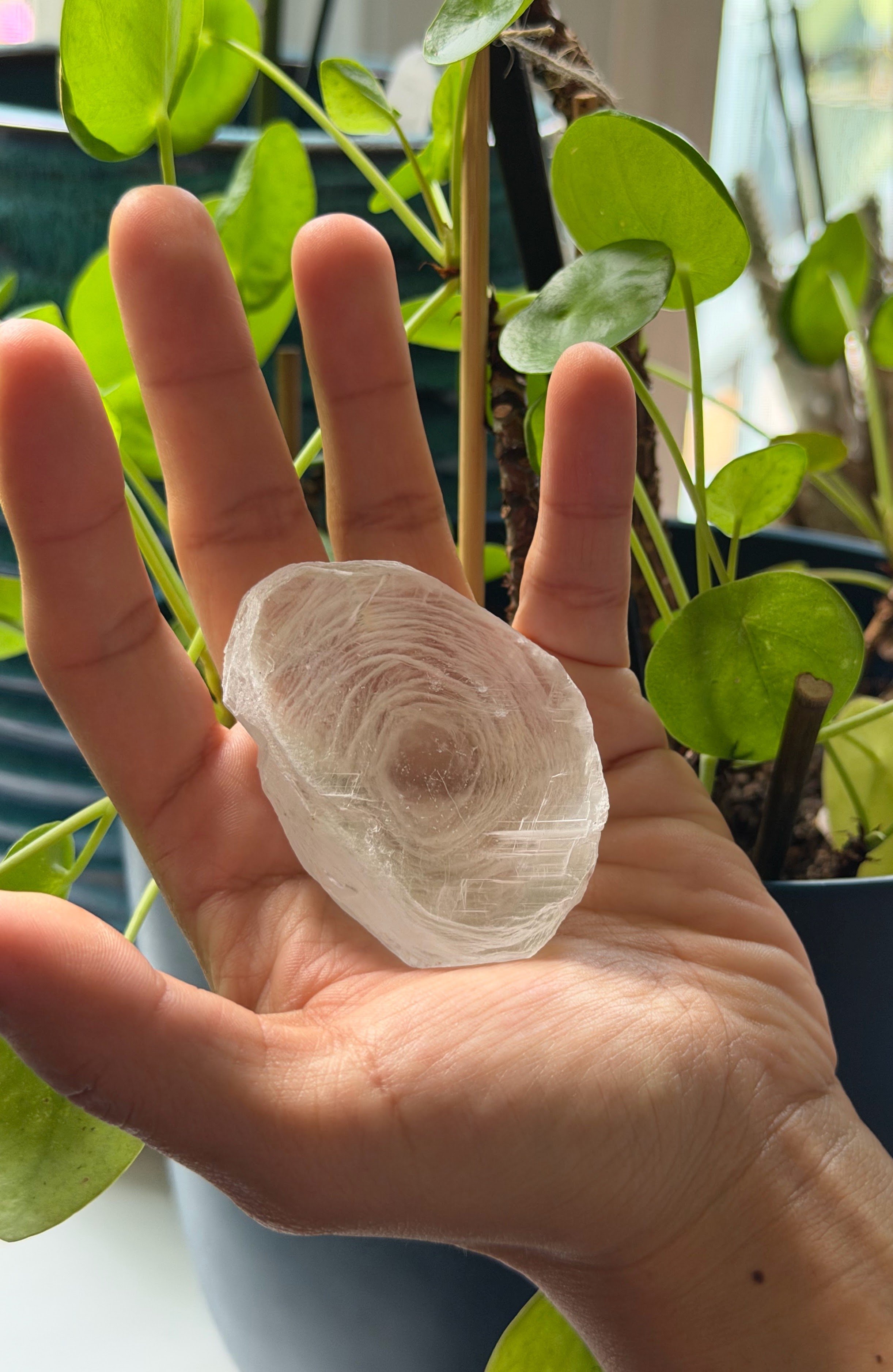 SELENITE FINGERPRINT IN HAND 6.jpeg
