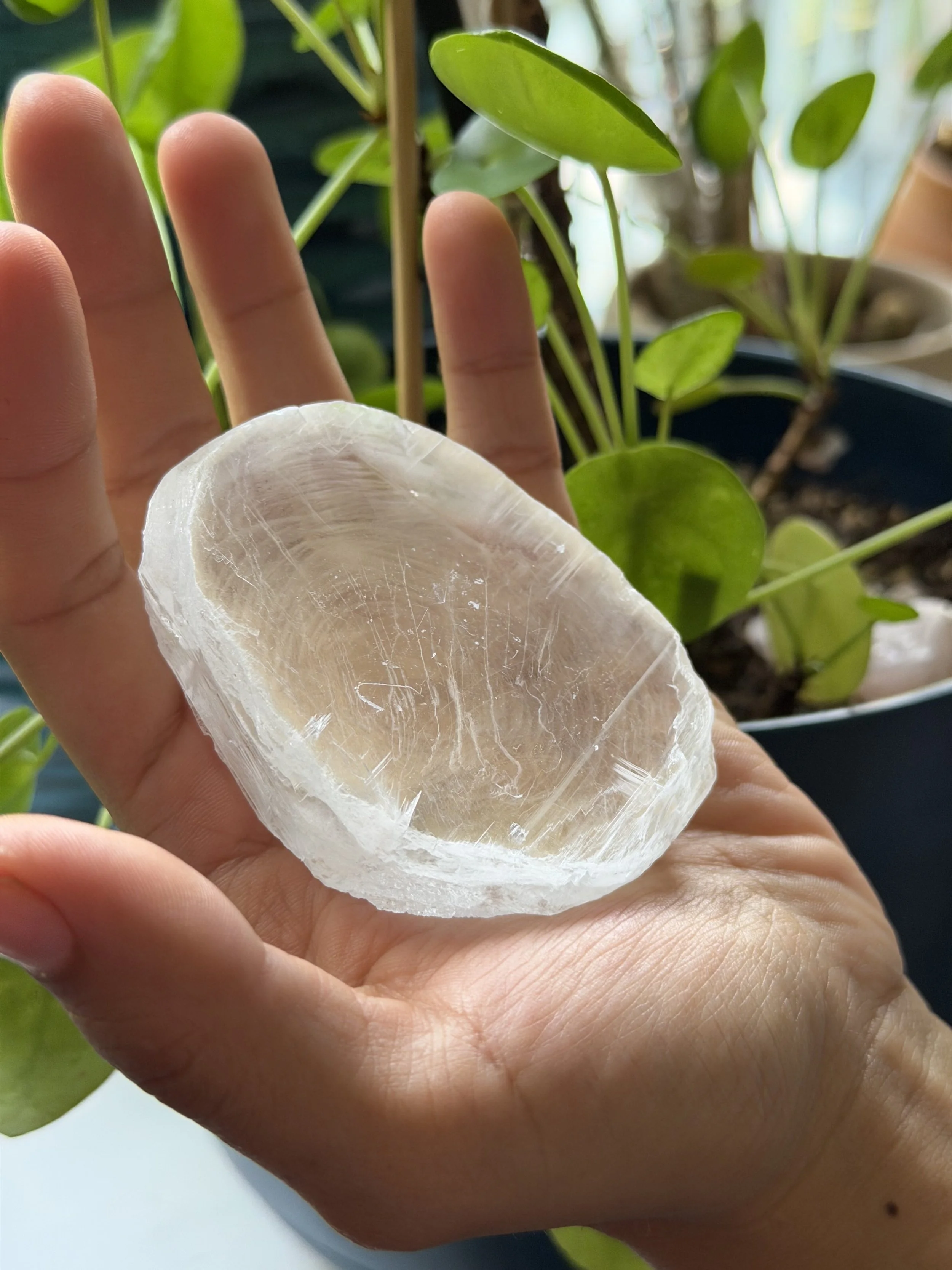 SELENITE FINGERPRINT IN HAND 34.jpeg