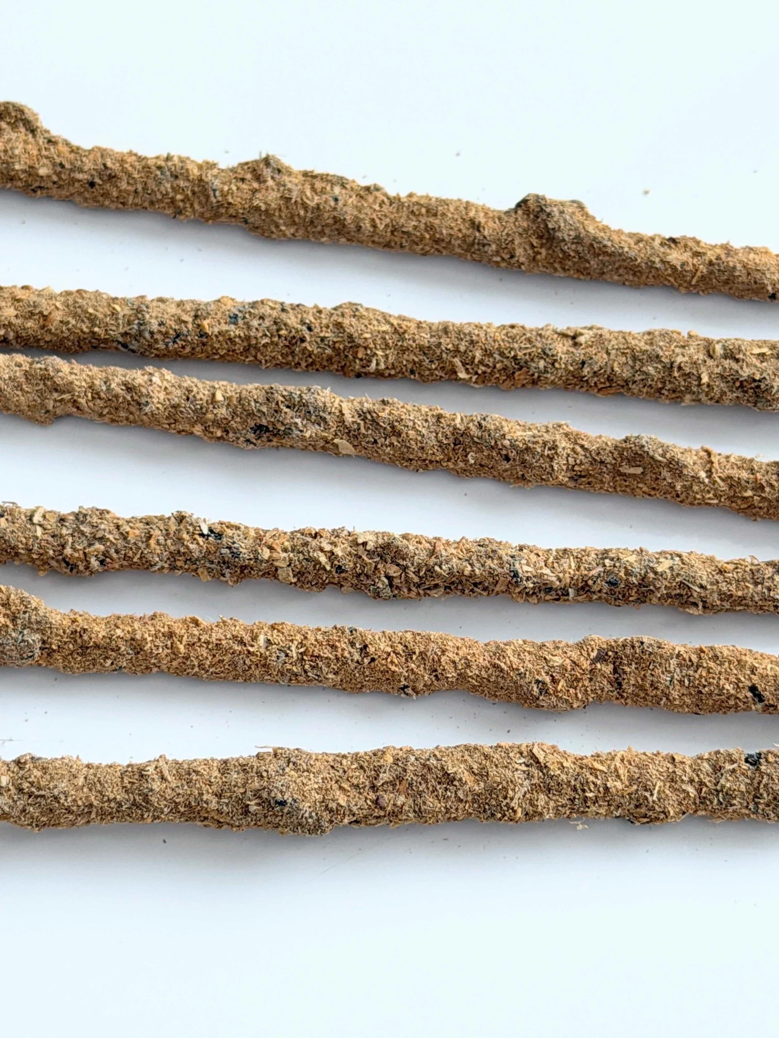 PS NAG CHAMPA B.jpeg