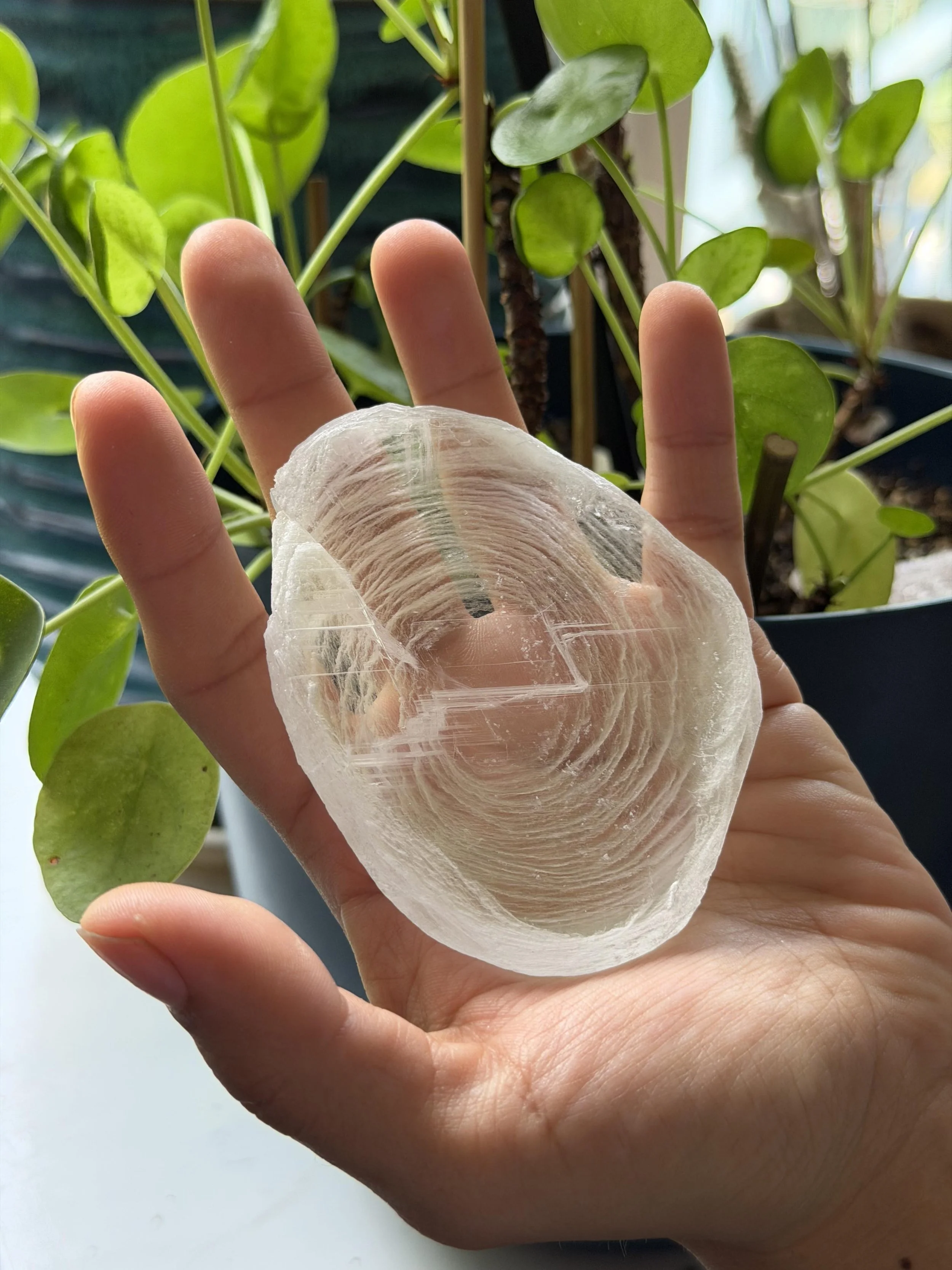 SELENITE FINGERPRINT IN HAND 38.jpeg
