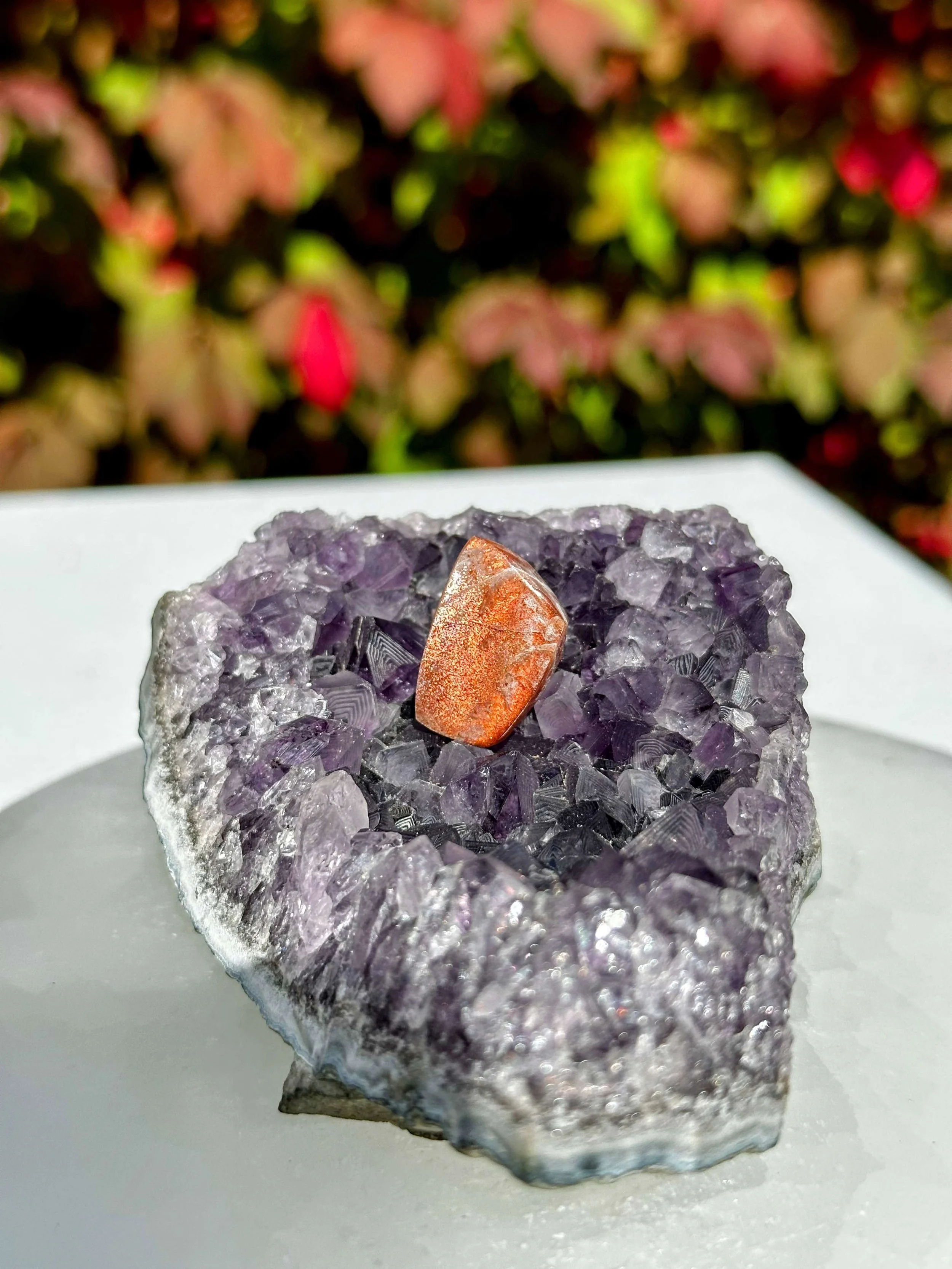 PURPLE HAZE 17B.jpeg