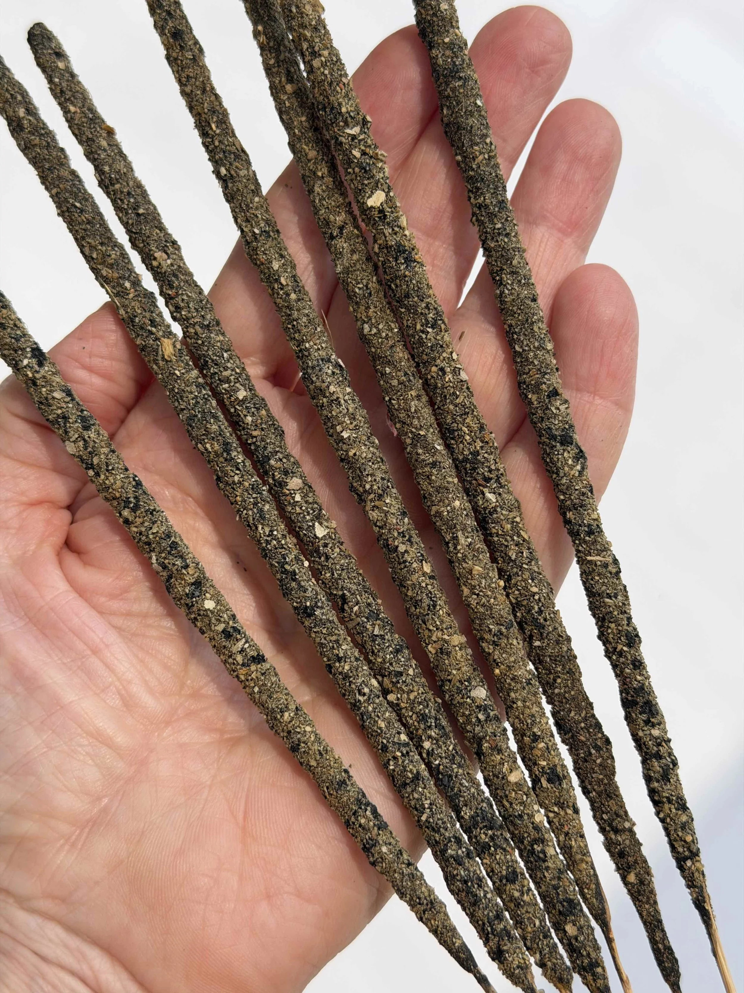 ARTISAN WHITE SAGE INCENSE IN HAND B.jpeg