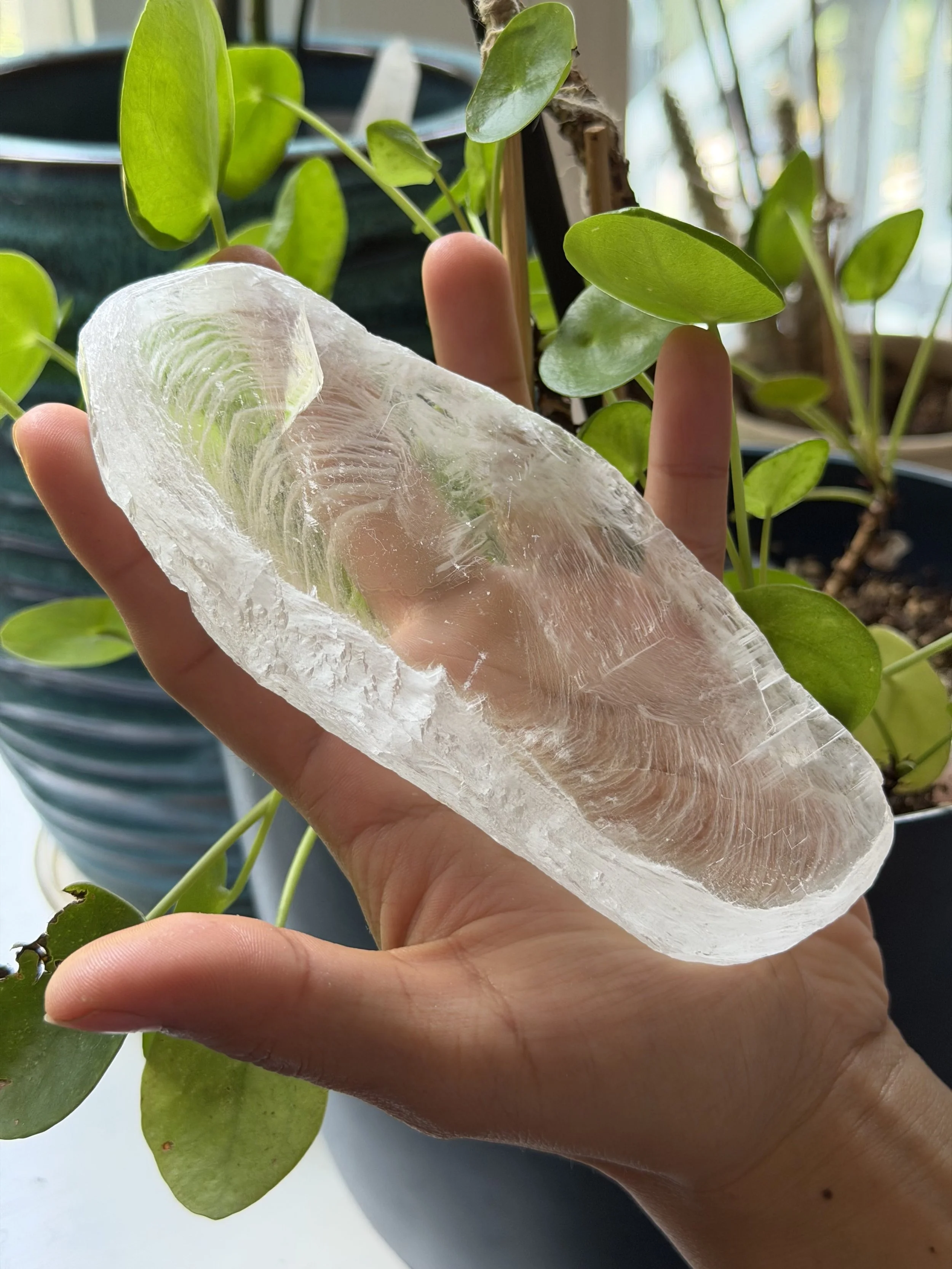 SELENITE FINGERPRINT IN HAND 13.jpeg