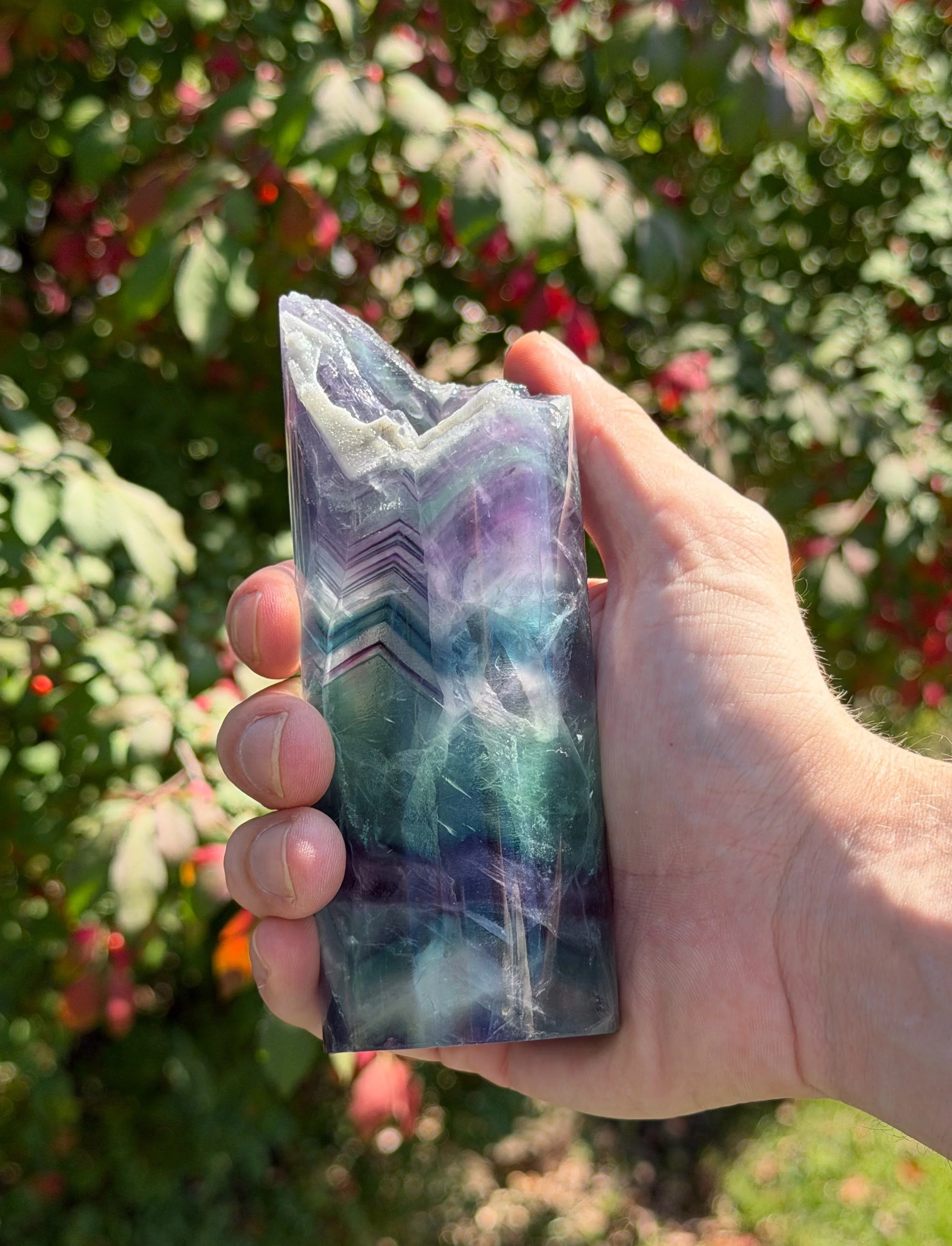 IN HAND 1.jpeg