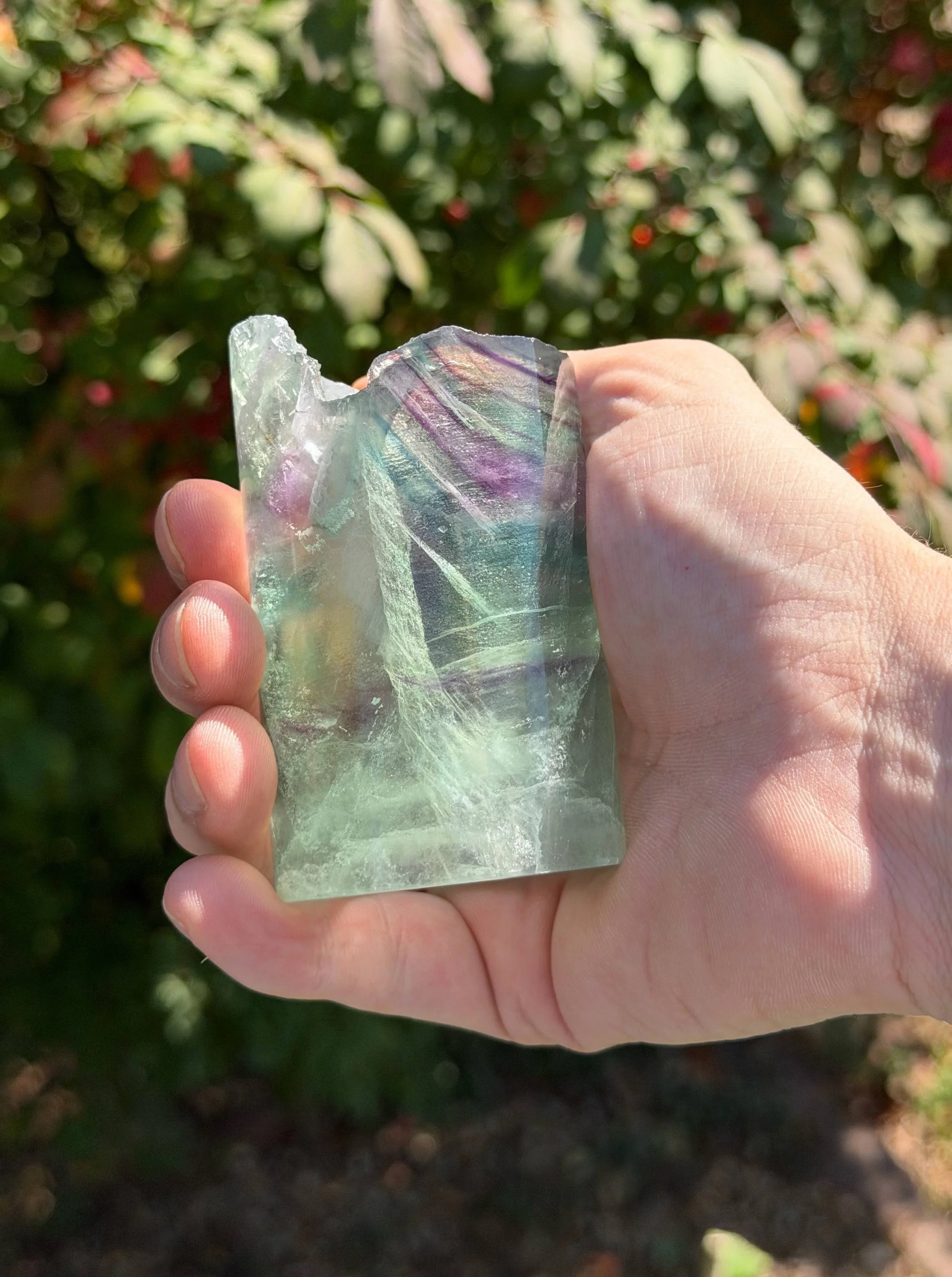 IN HAND 12.jpeg